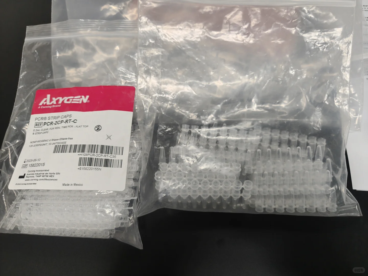 分子试验的一天