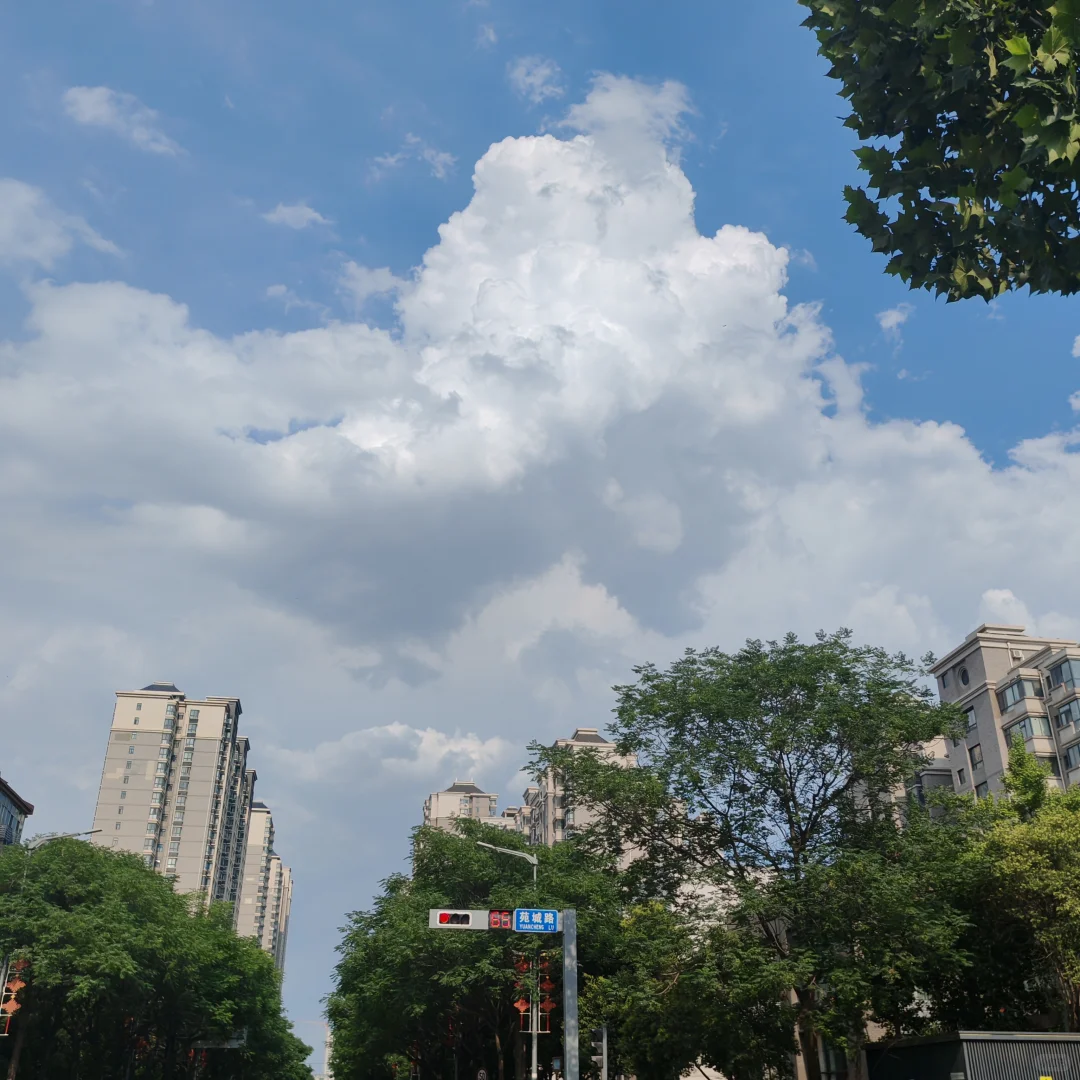 吃维生素D让我变快乐了