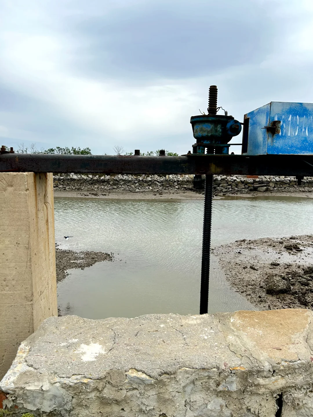 ✨ 大连海参人工养殖基地