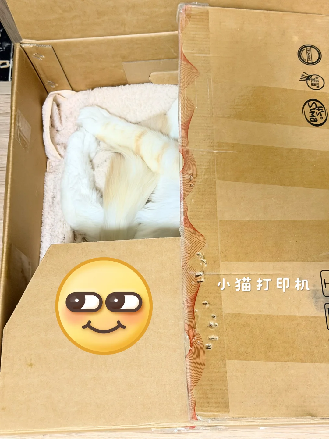 真的是发疯减肥