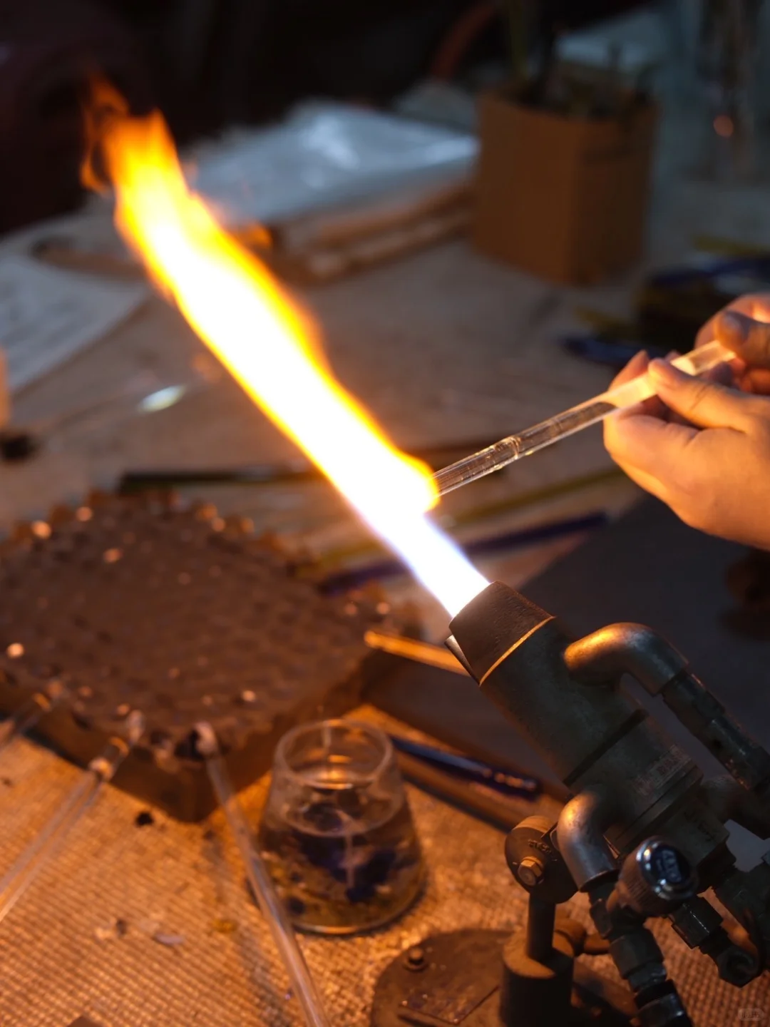 新竹最美「玻璃溫室」SPRING POOL GLASS Stud