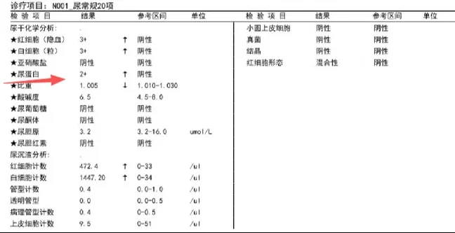 体检报告这个➕号，拖成尿毒症！