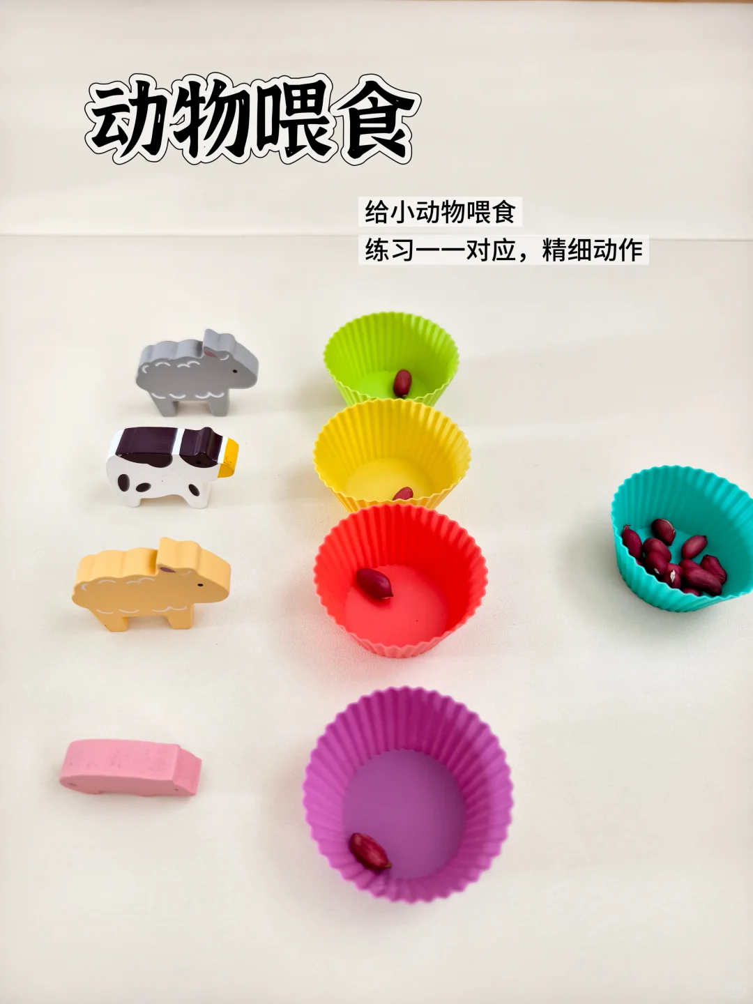 蒙氏早教|21月龄第二周工作|玩具