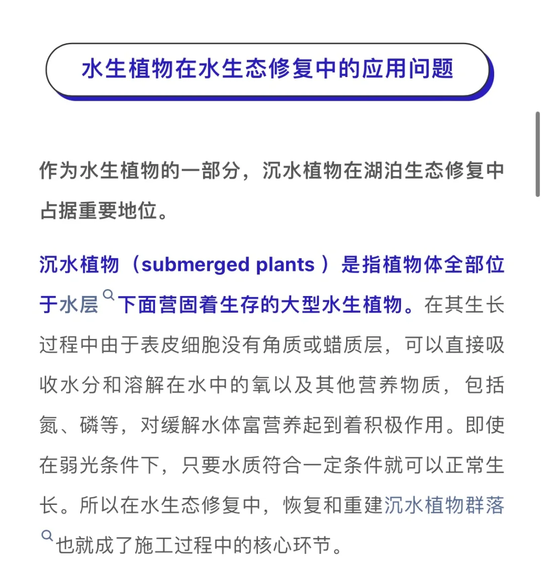 水生植物在水生态修复中的应用问题……