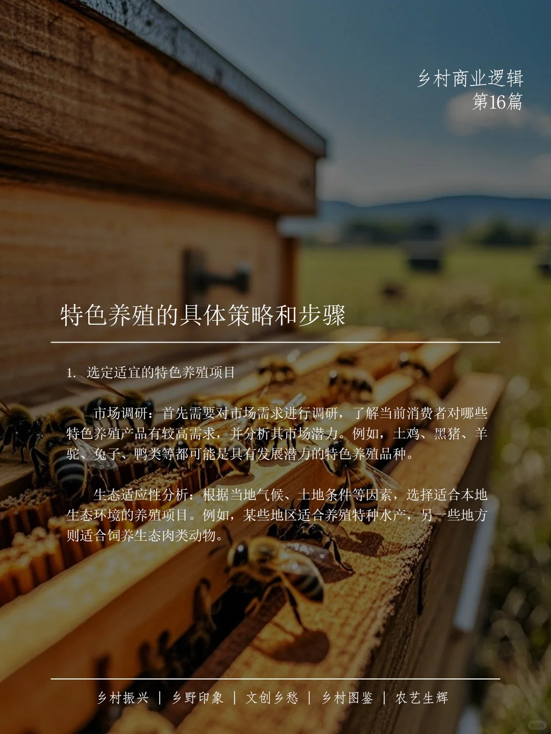 ? 特色养殖产业如何助力乡村振兴??