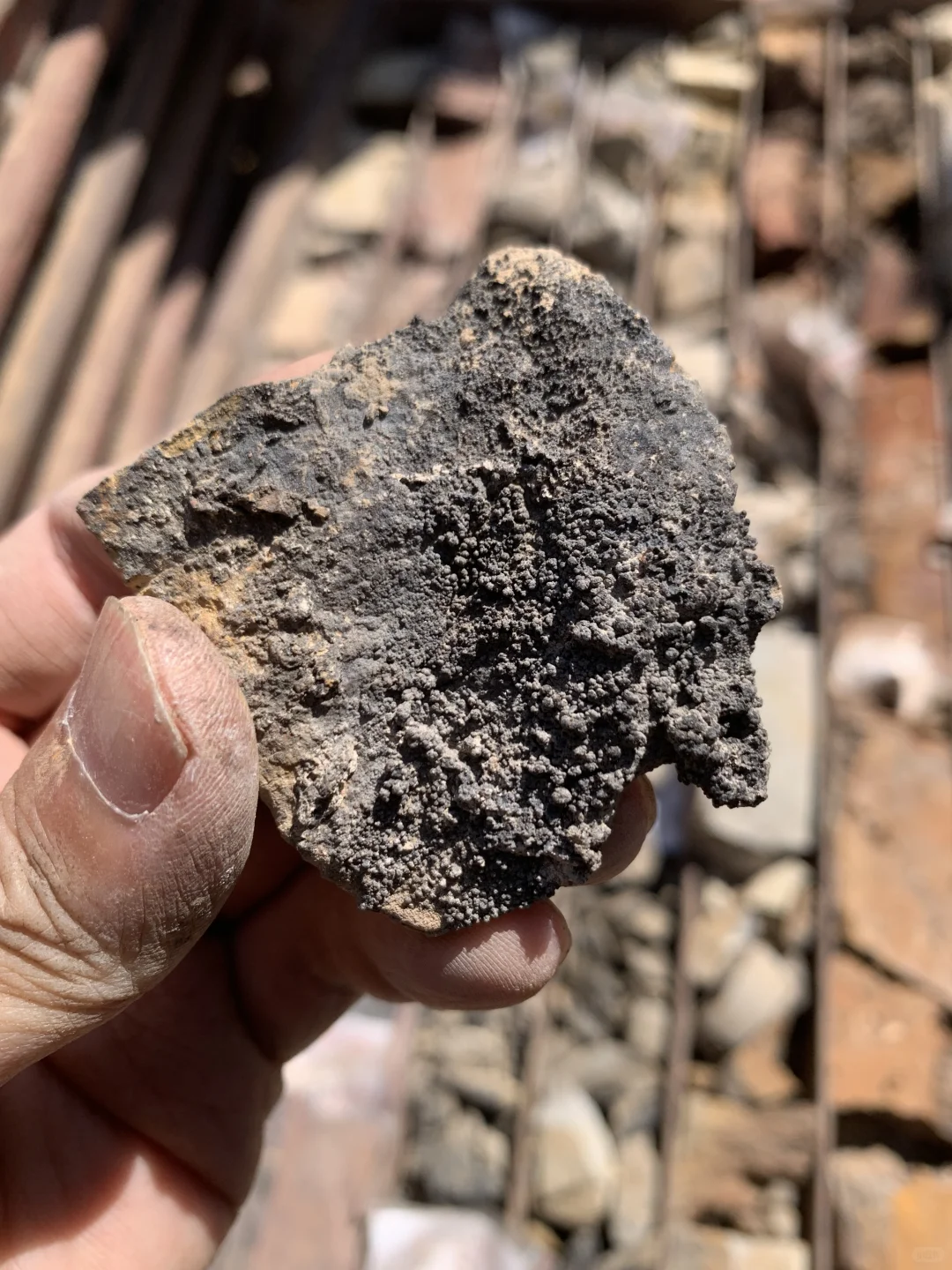 大家看看我在铝土矿里发现了啥