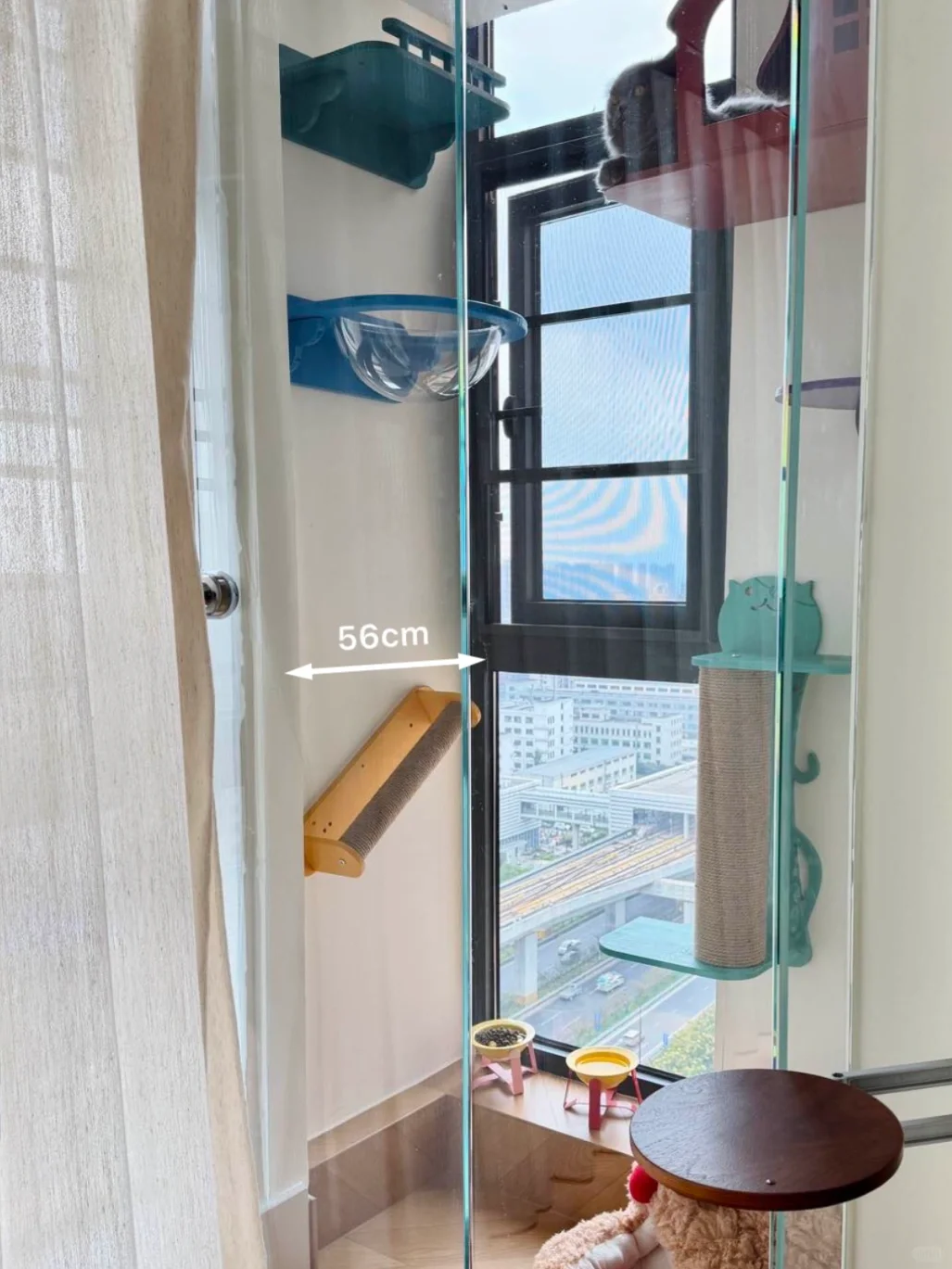 ?✨0.5平玻璃猫房 小空间改造✅附尺寸?