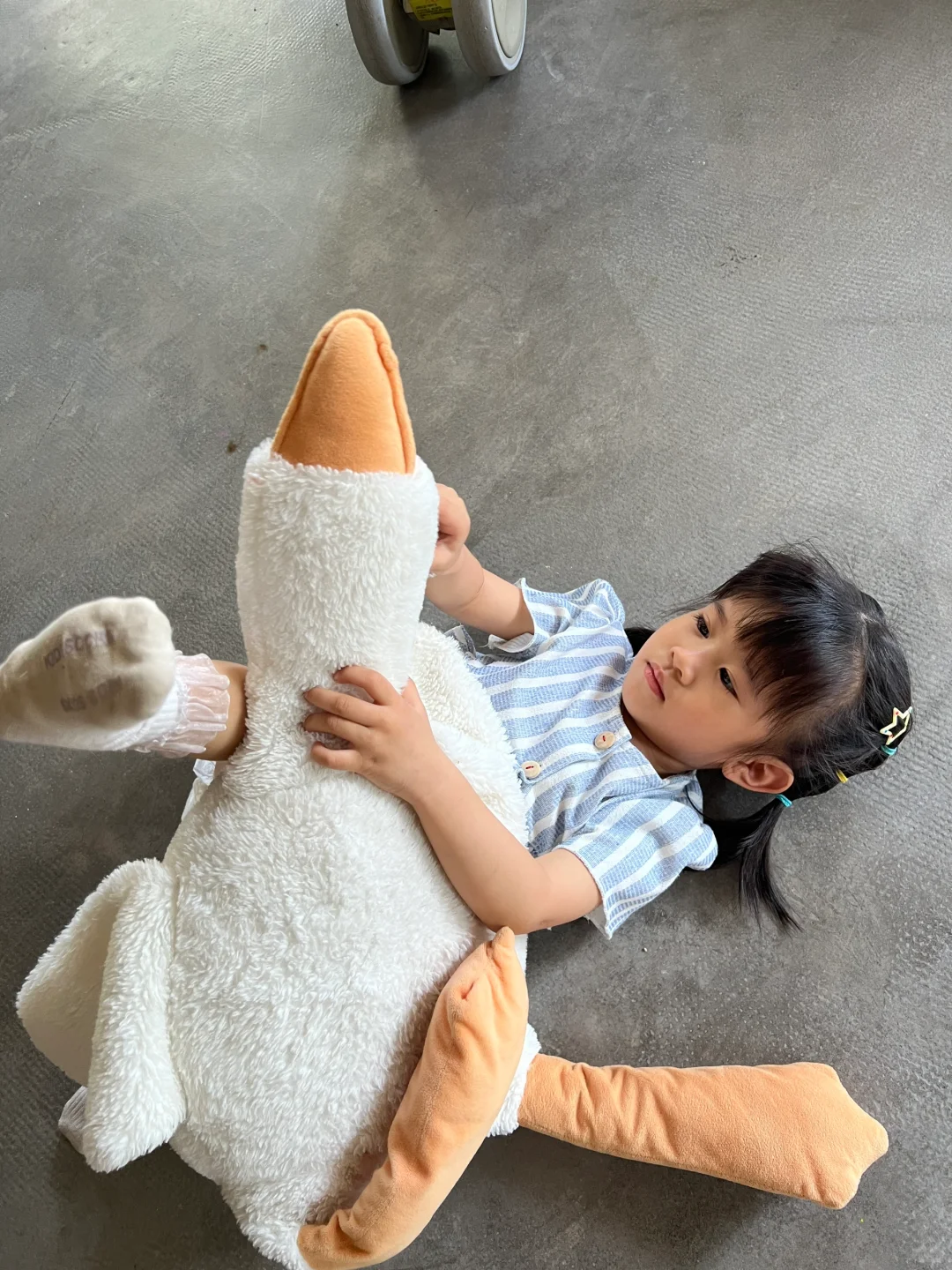 时常在想，什么样的人才会喜欢水泥地