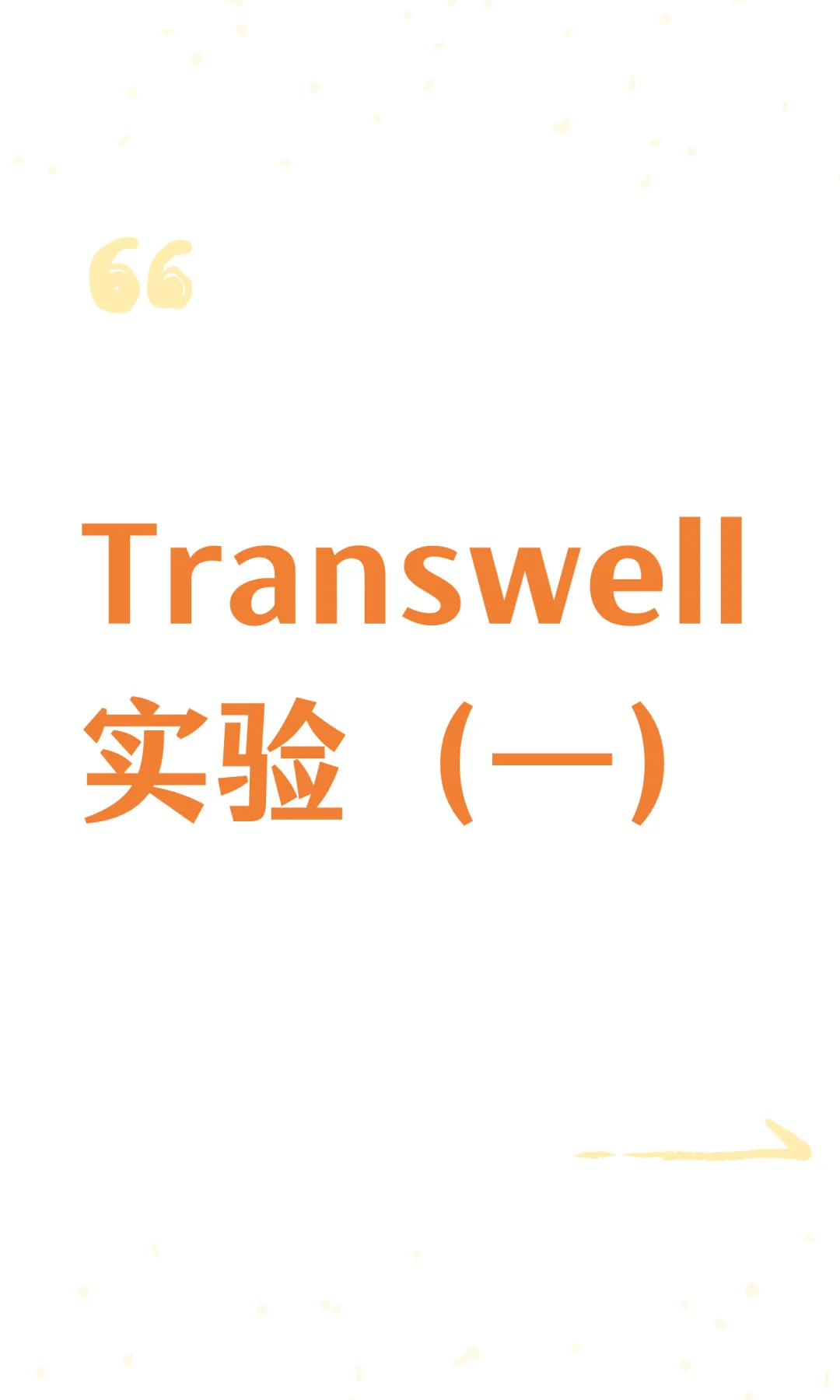 Transwell实验（一）