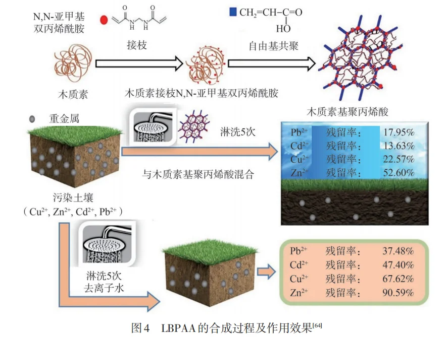 木质素竟成土壤救星？让土地重获新生