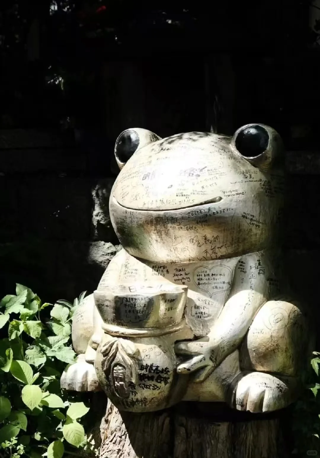 日本福冈—如意轮寺 青蛙