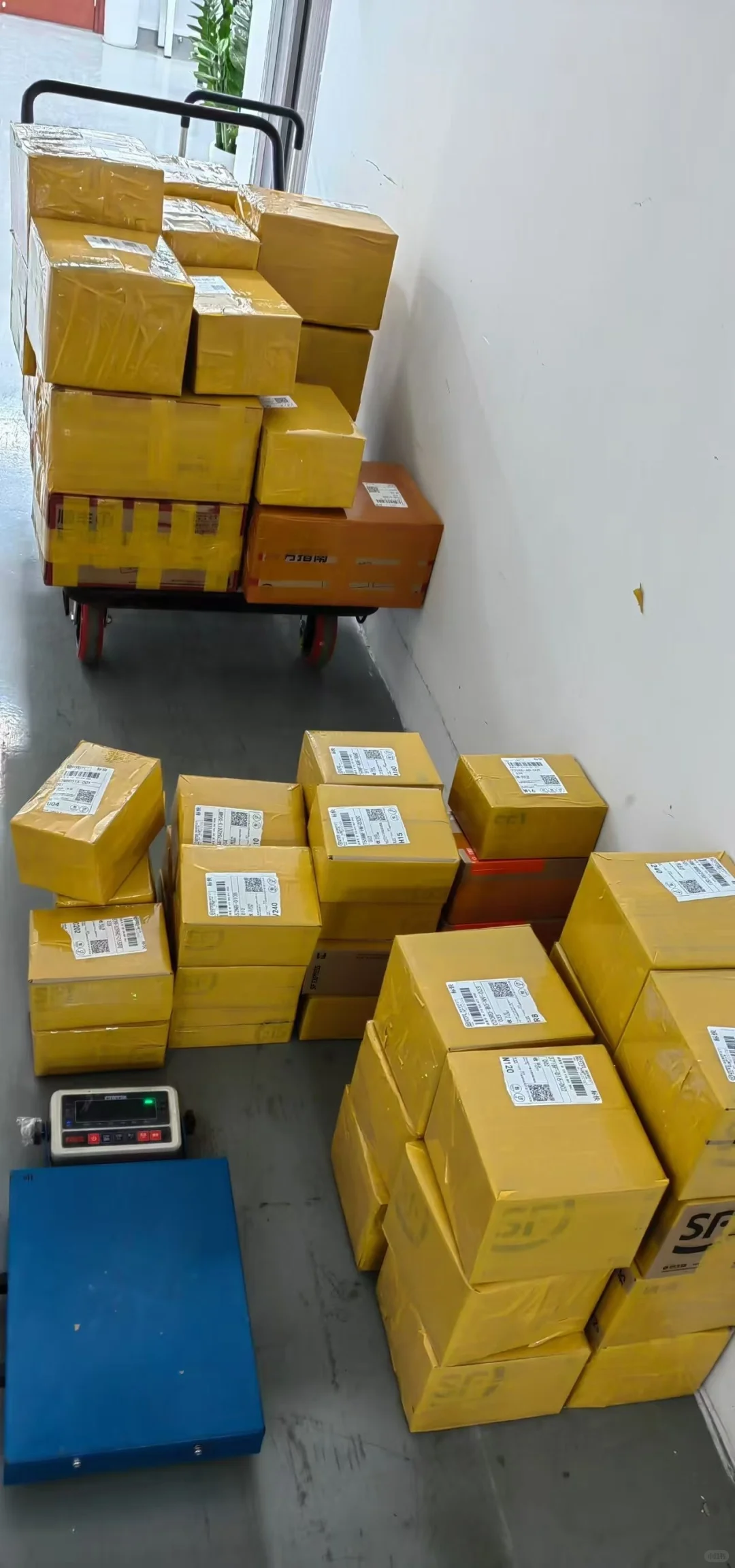 40一个谁要啊？