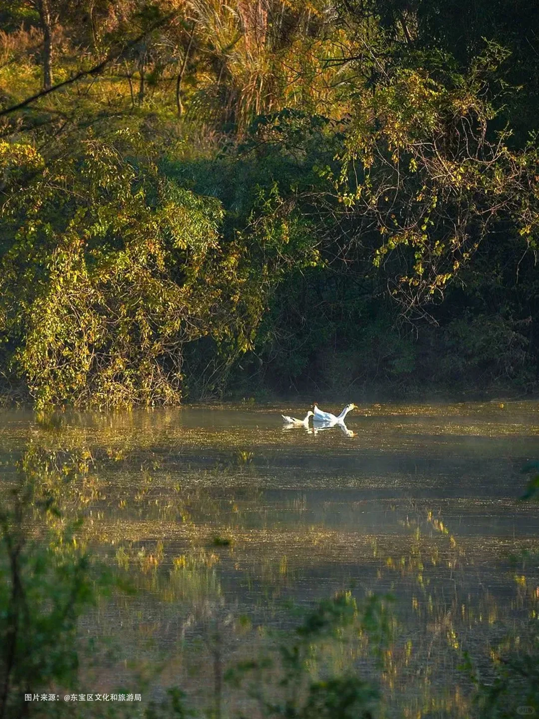 湖北这❼个地方，藏着李子柒同款的田园生活?