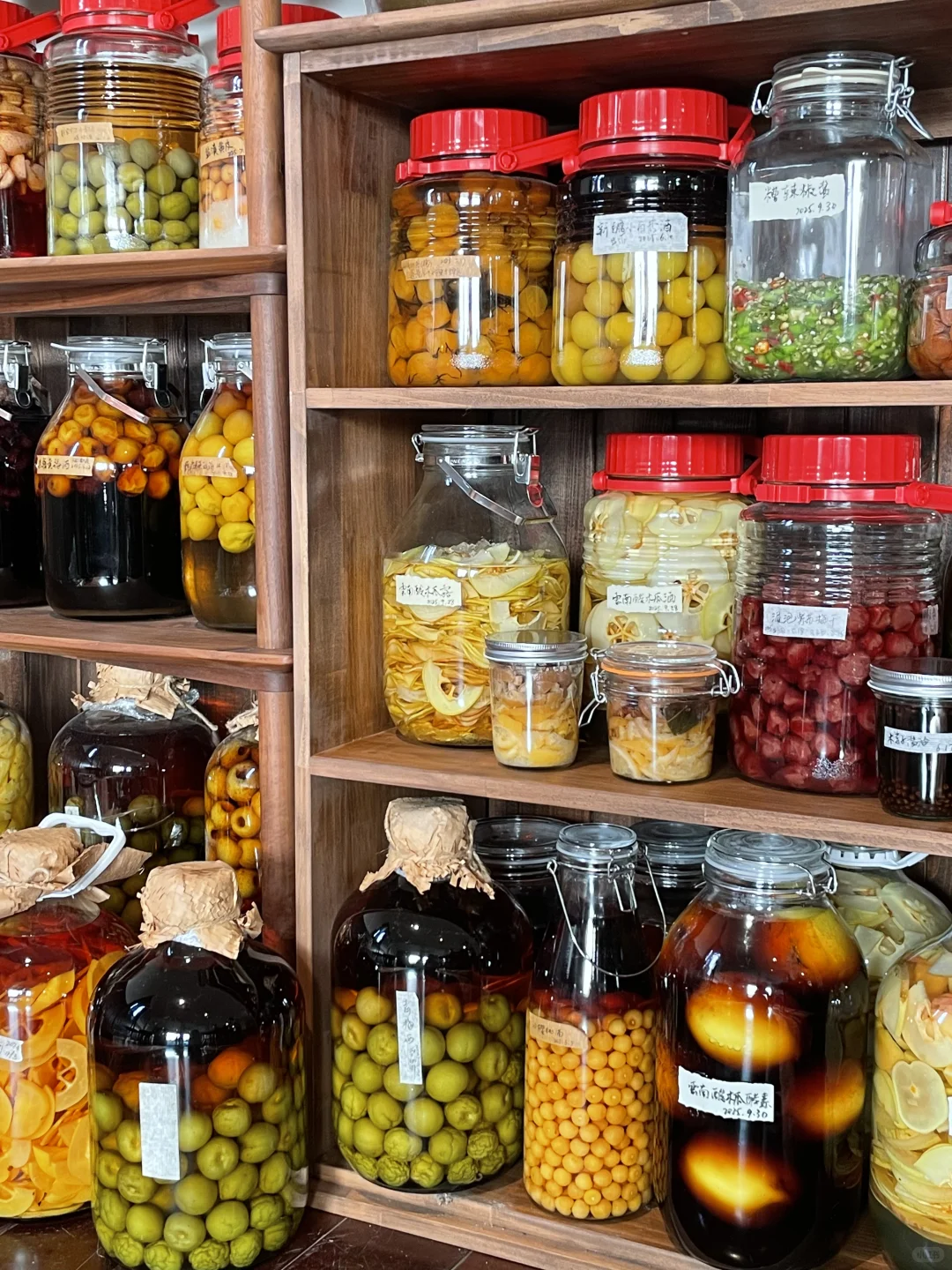 瓶瓶罐罐的我的生活