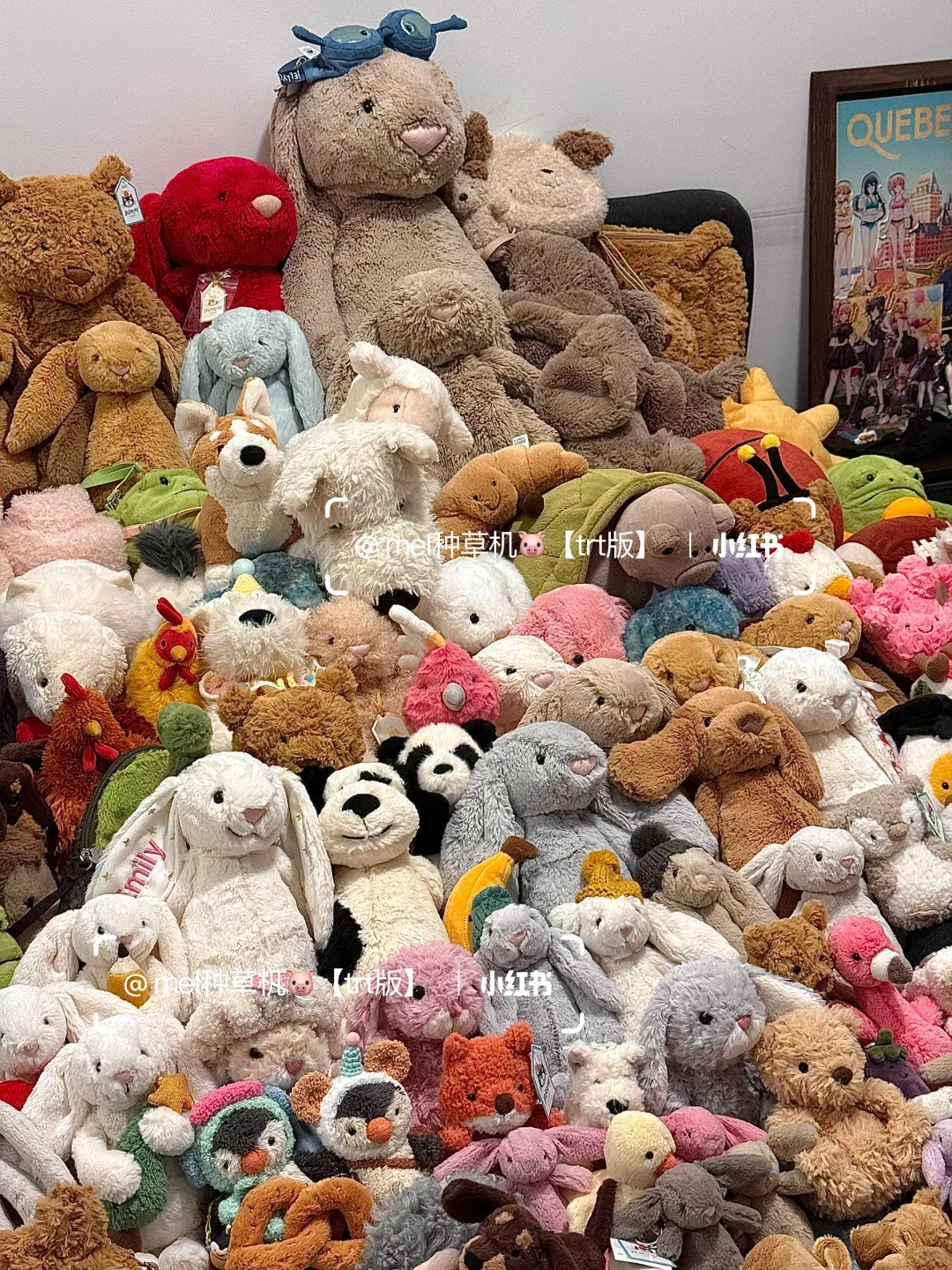 入坑jellycat一年老公买了155只玩偶给我?