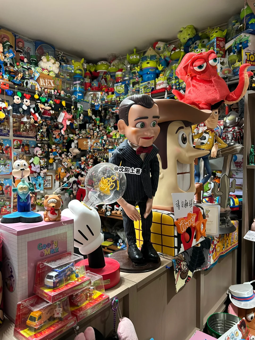 定期拔草之 沈阳这家玩具店全是宝?