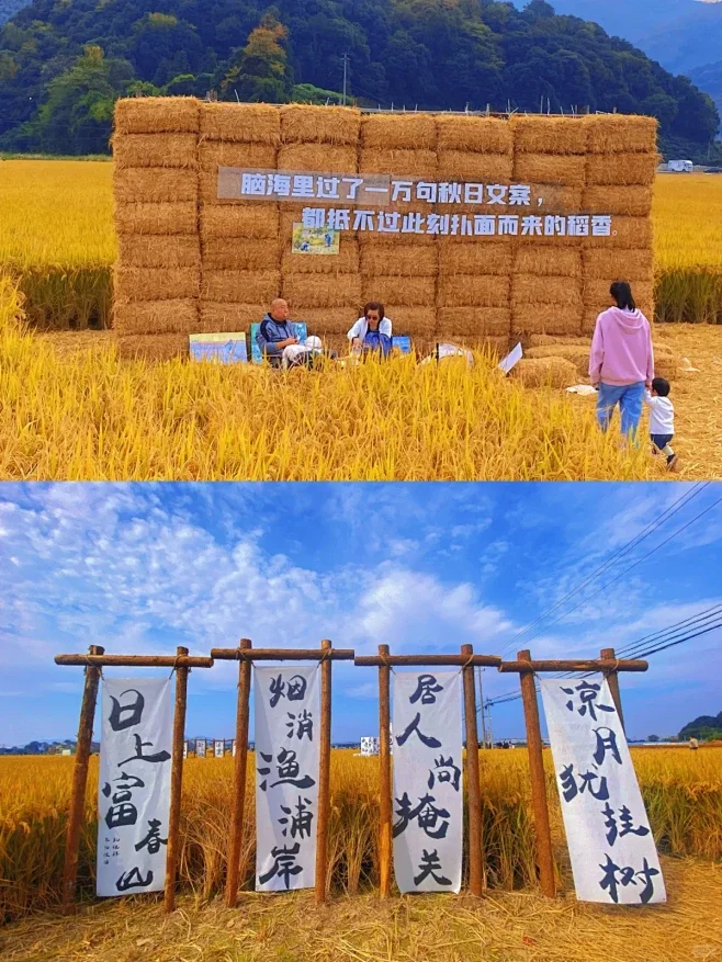 ?泽天策划：丰收节创意大揭秘！