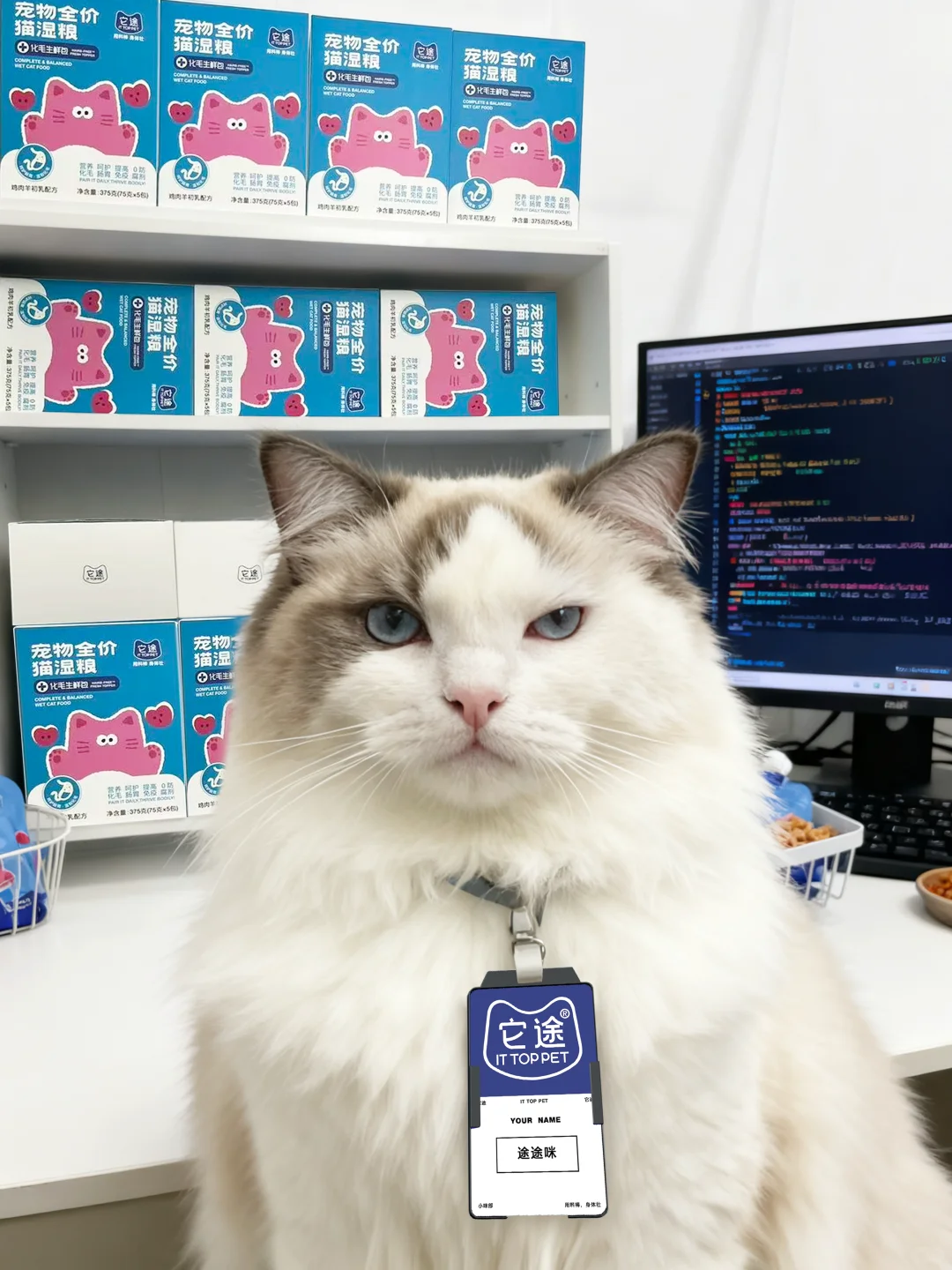 养小帽咪的家长们看过来！?