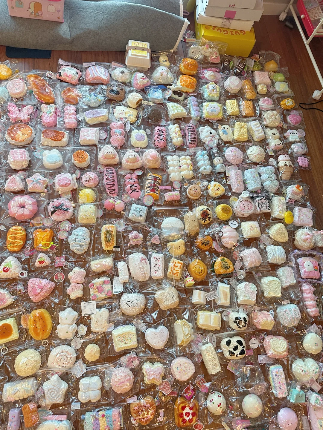 留子入坑捏捏四个月合照?