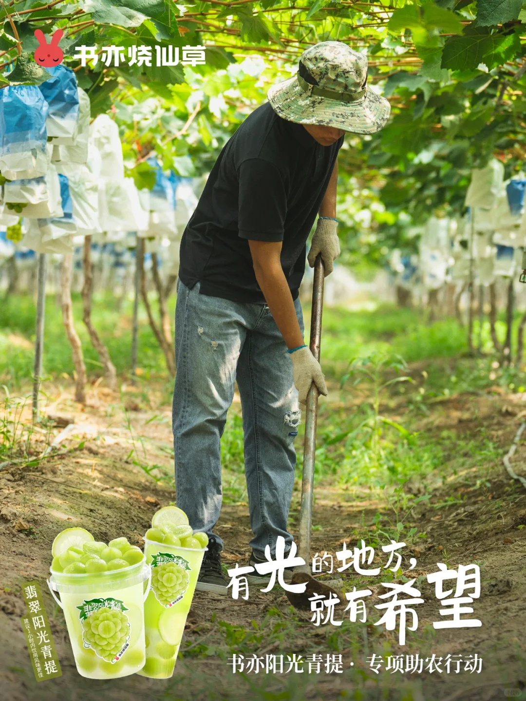 ?乡村振兴！我们是认真的！