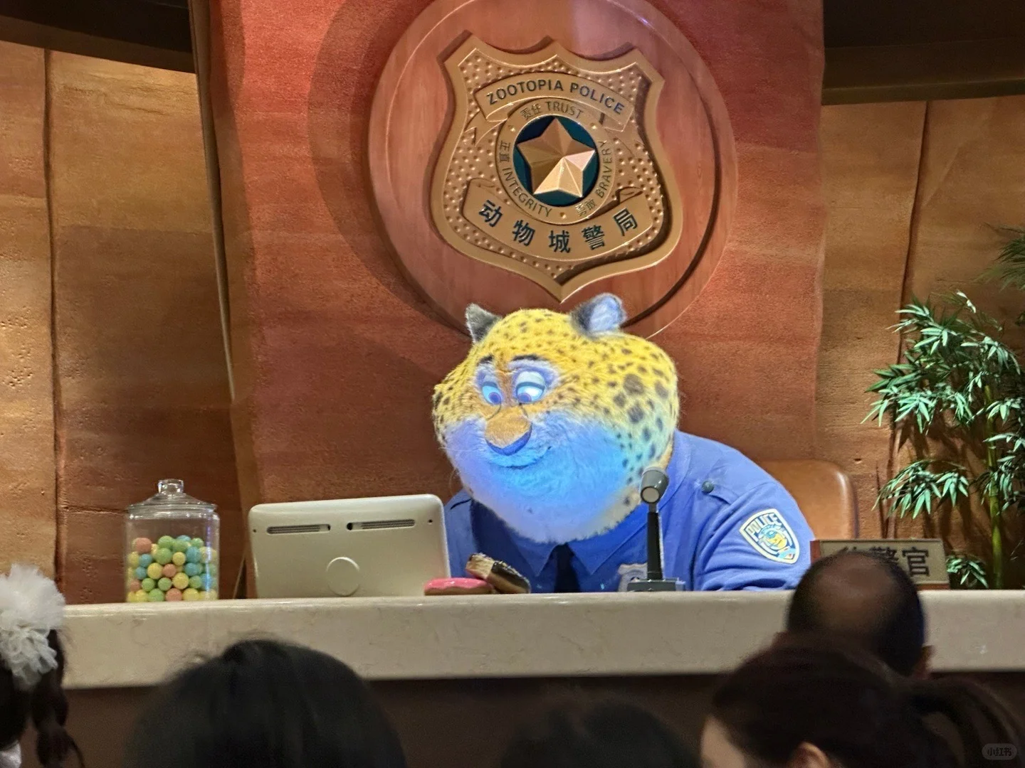 上海迪士尼⚠️11-12月新规提示‼️出行前必看