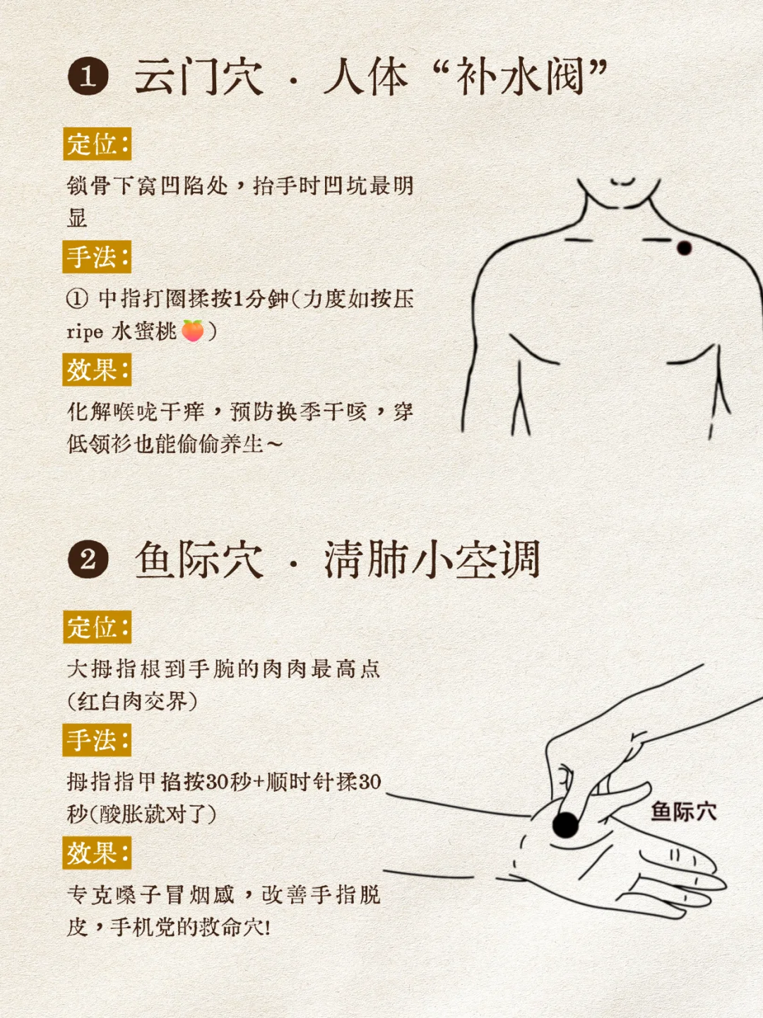 中医：人体自带养肺穴