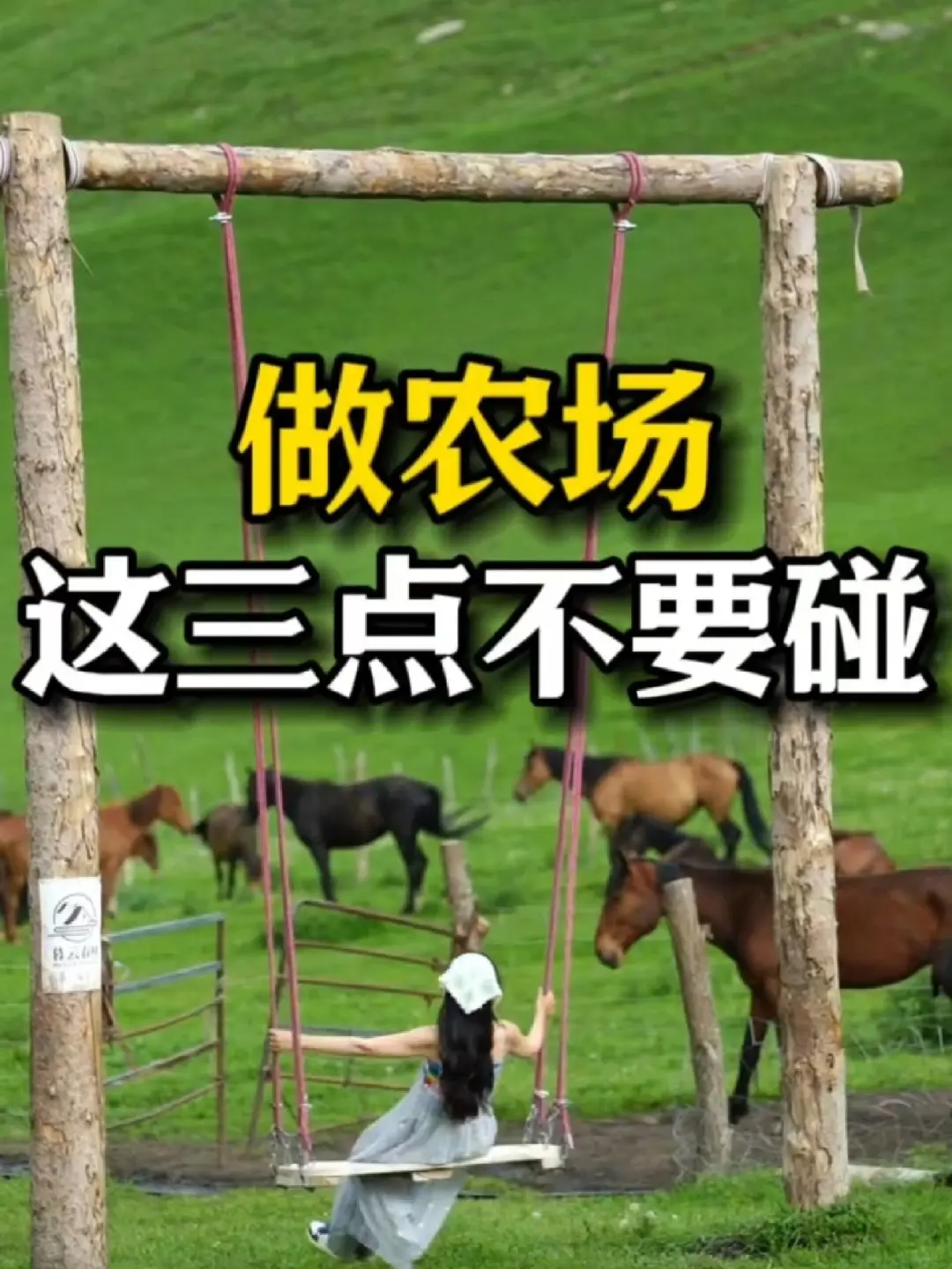 如果再去做一次农场，你会怎么做？