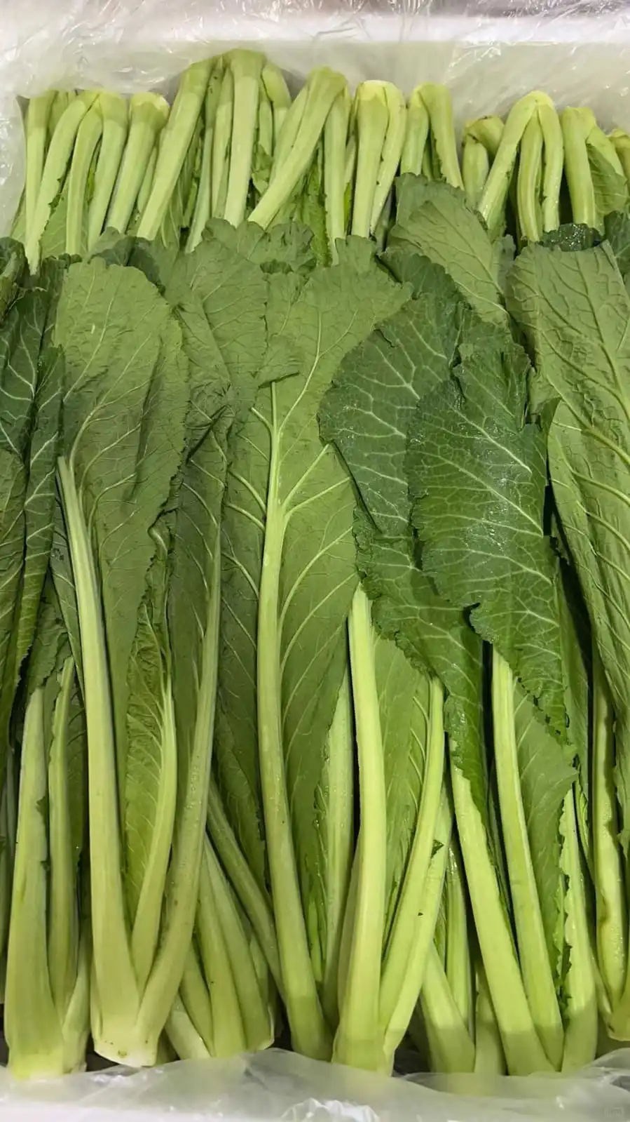 港蔬菜,一條龍??服務 优质客户可月結