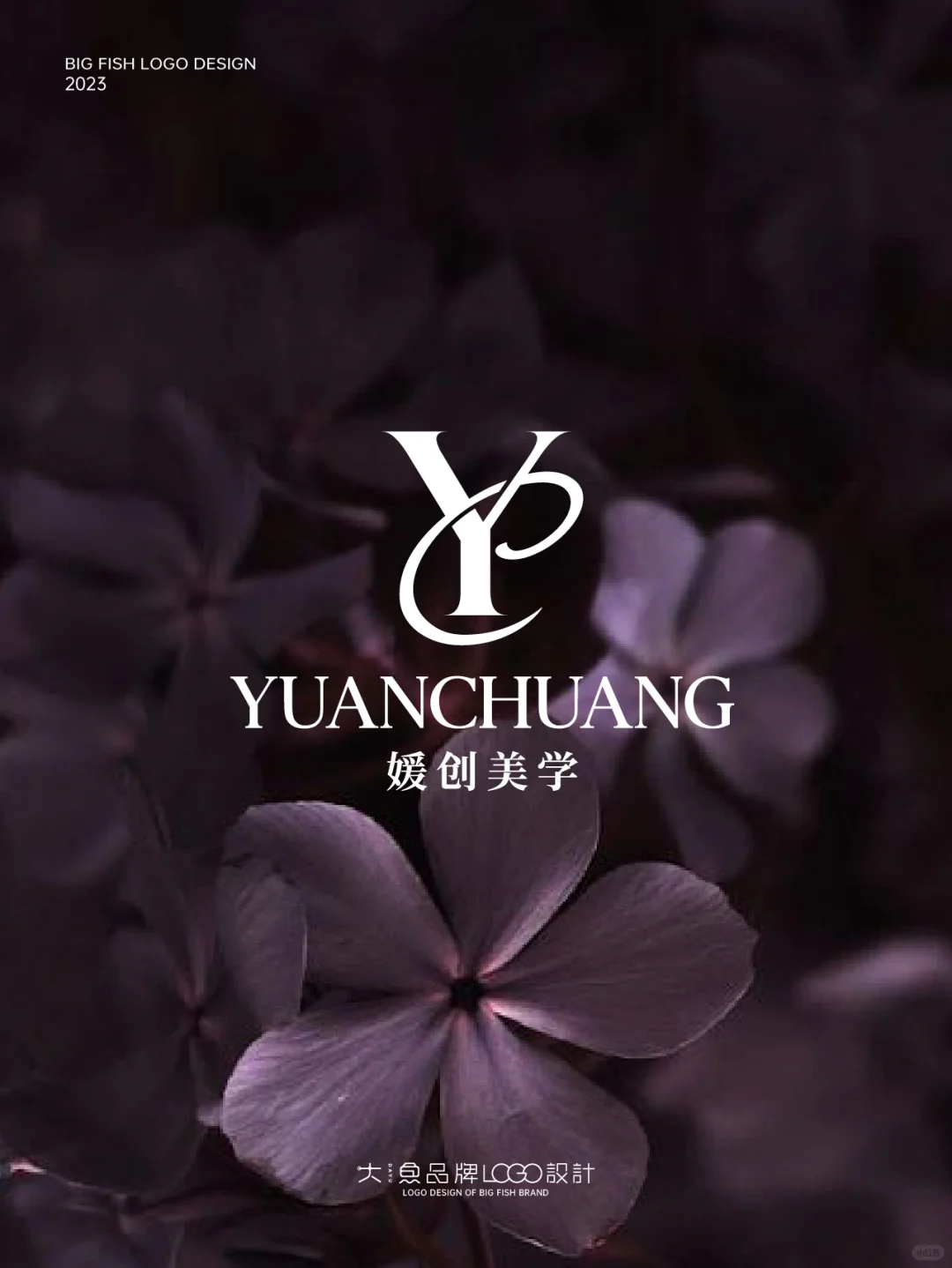 高级感的LOGO让我涨粉过万!