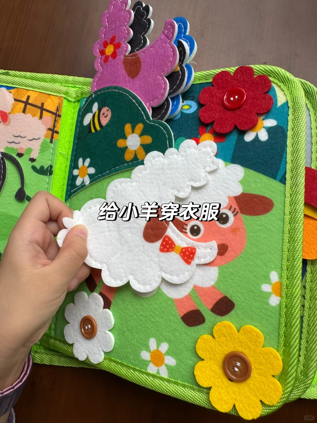 欧美专家yyds 多玩蒙氏娃越来越聪明?