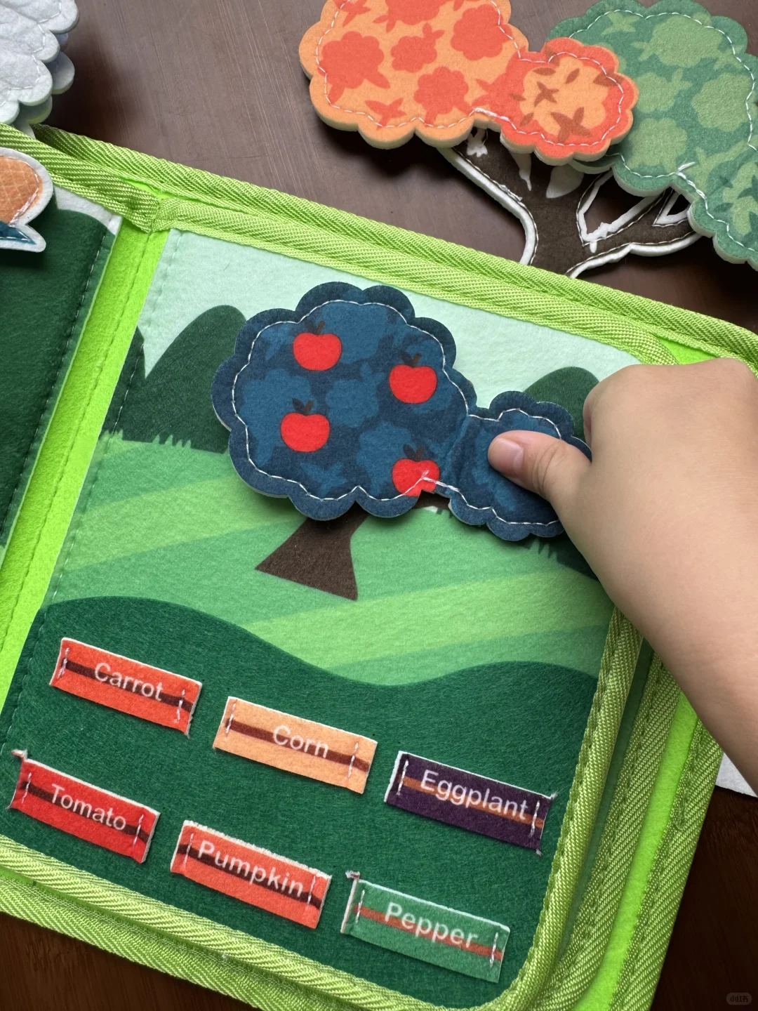 欧美专家yyds 多玩蒙氏娃越来越聪明?