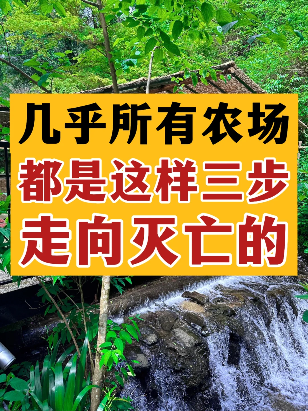 99%的亏损农场，都是这样三步走向倒闭的