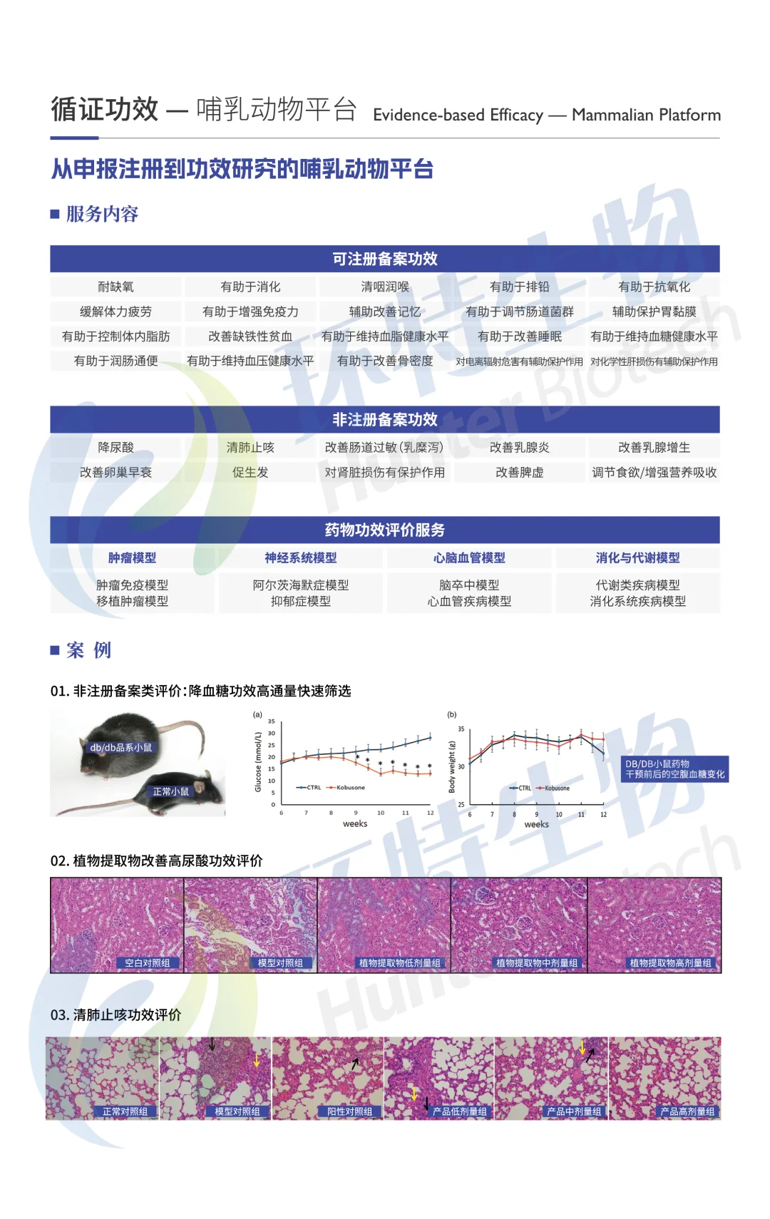 还有谁？功能食品从原料到成品的功效评价