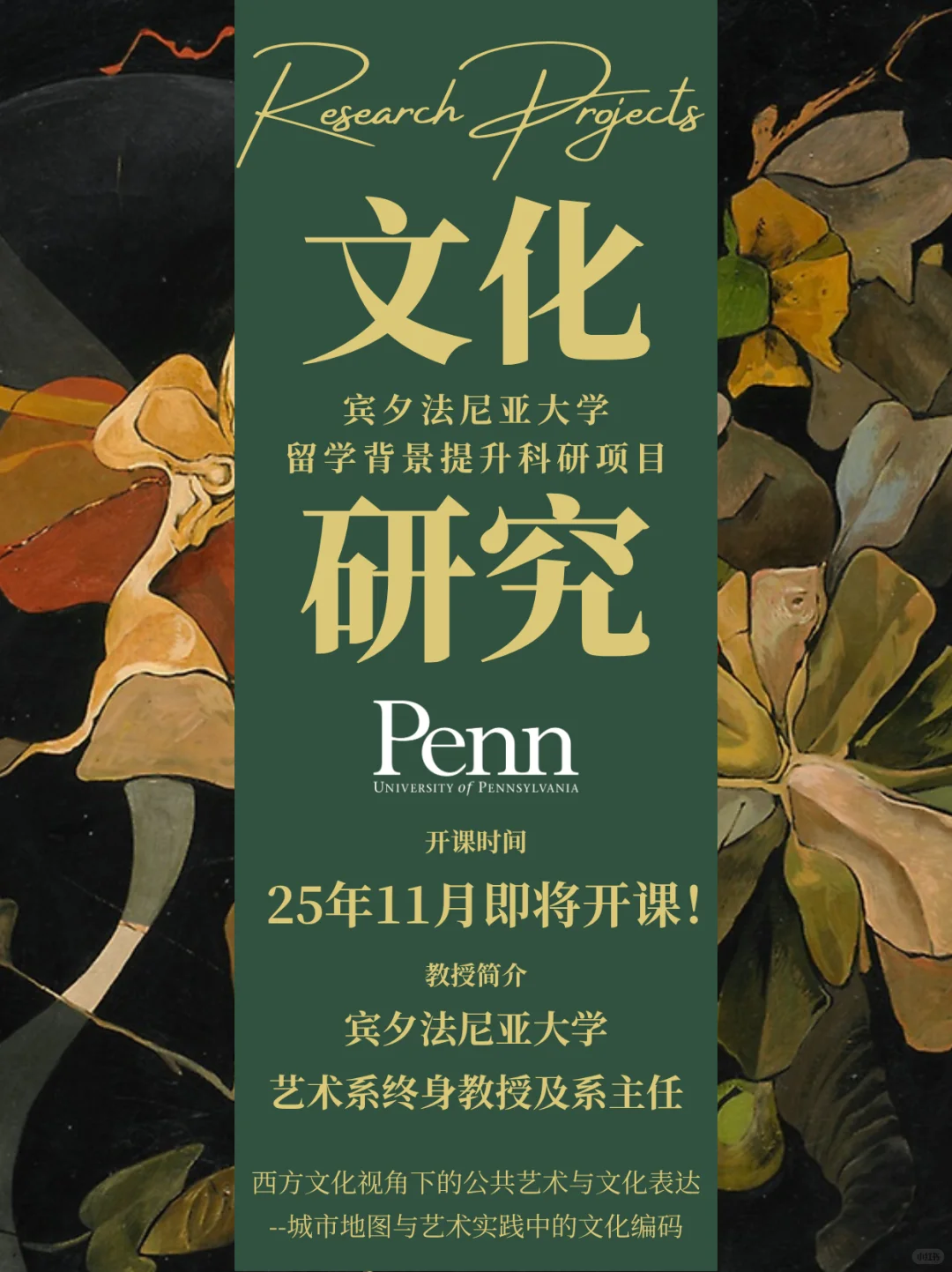 宾大艺术系主任&终身教授【文化研究】科研