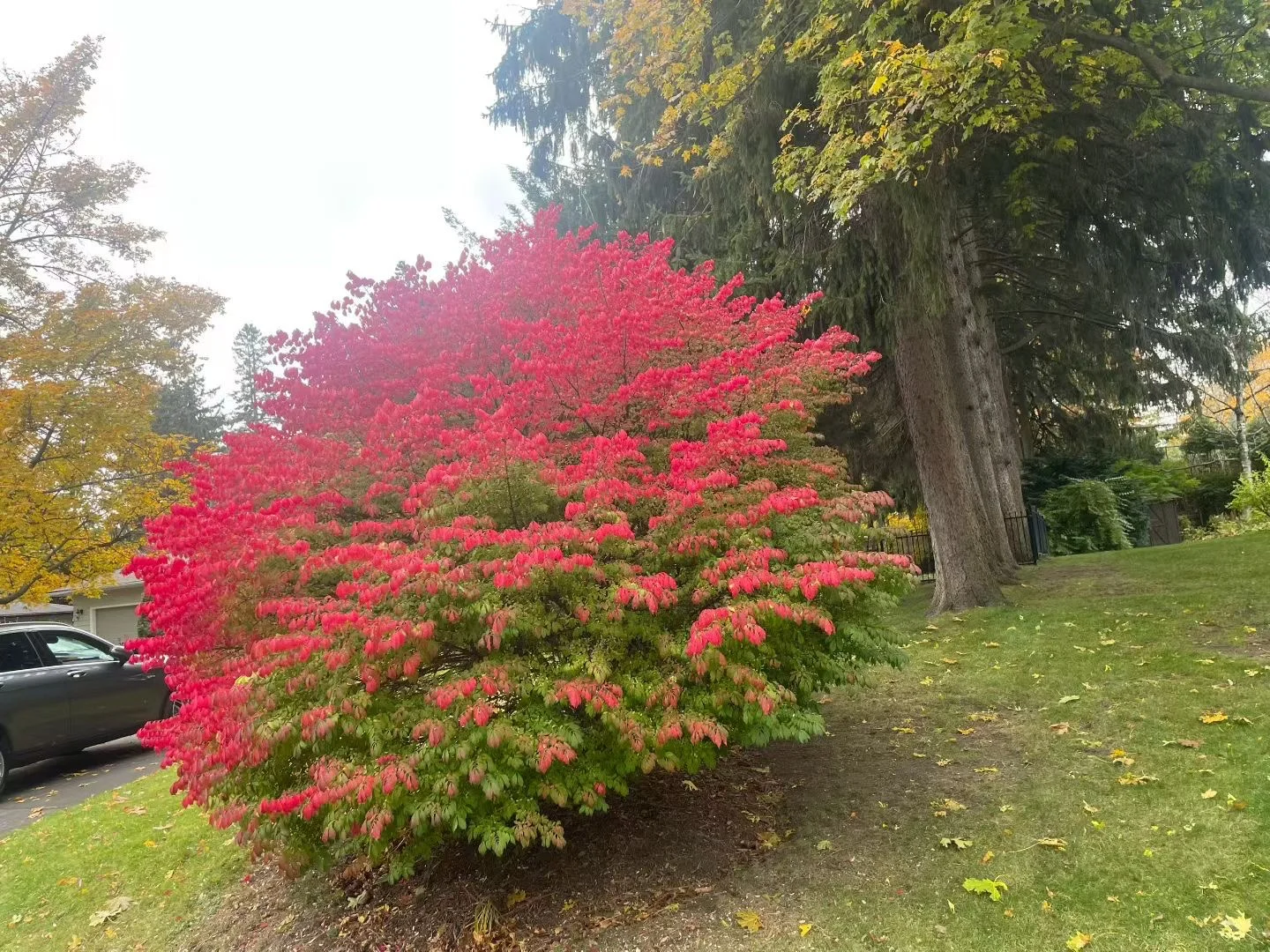 发专业安保证书，保险给了大大折扣