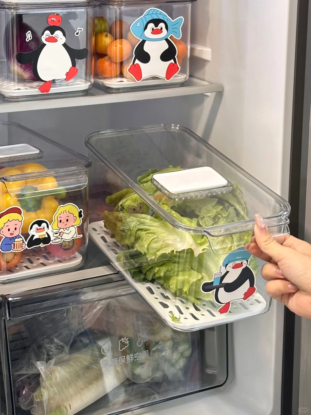 这样整理冰箱干净又省电‼️?