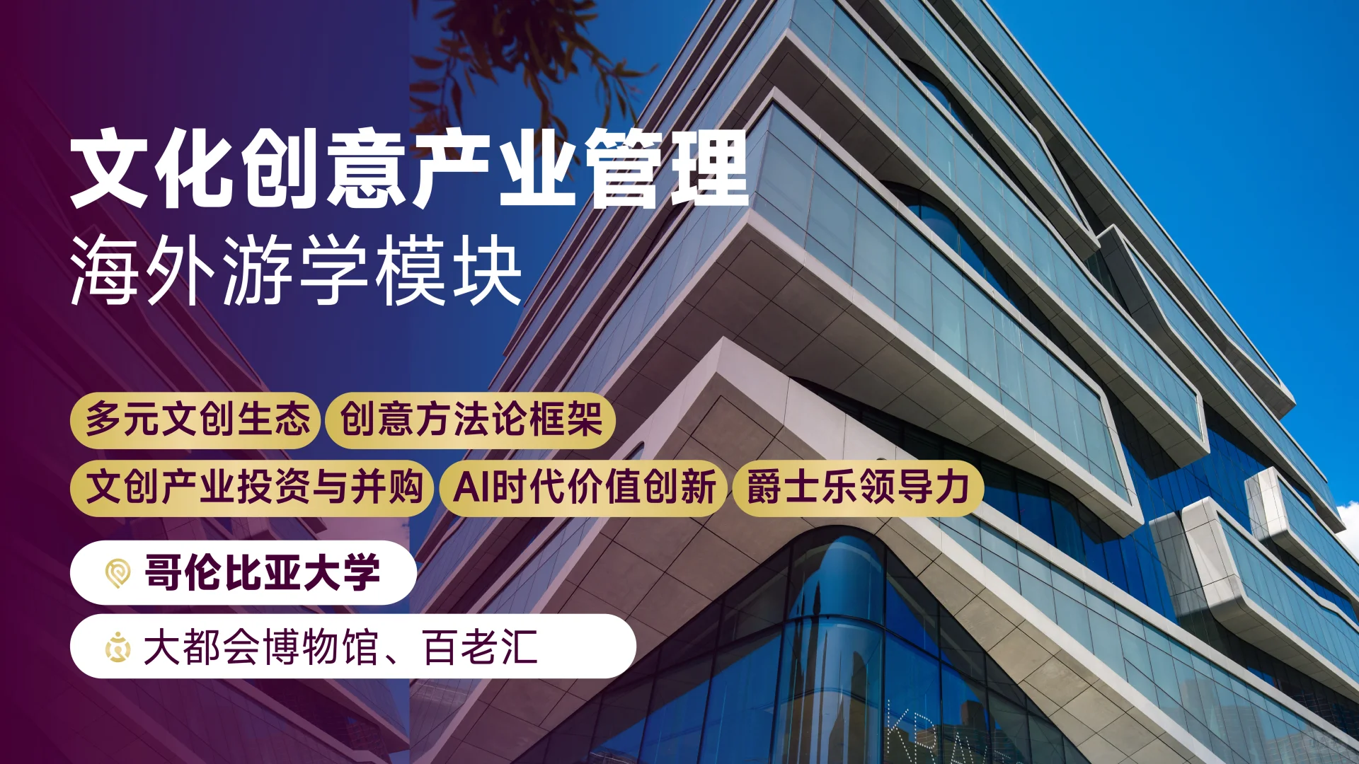 “文创+”行业风口高管必修课,港大上课