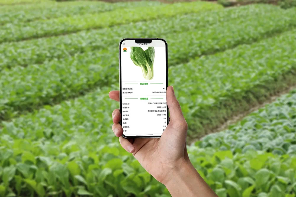 农产品溯源：农田到餐桌