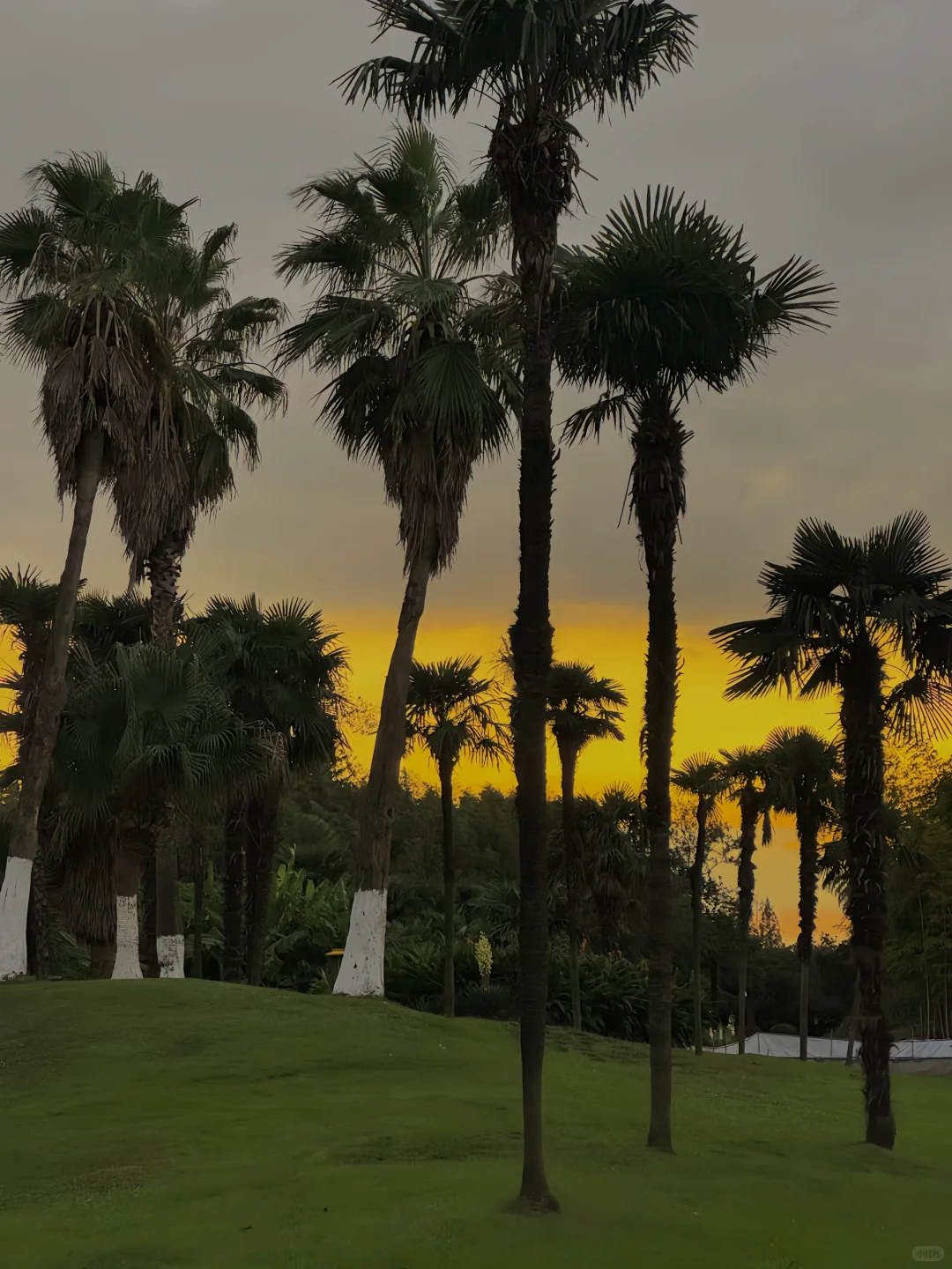 这句歌词也太适合十一月发了吧???