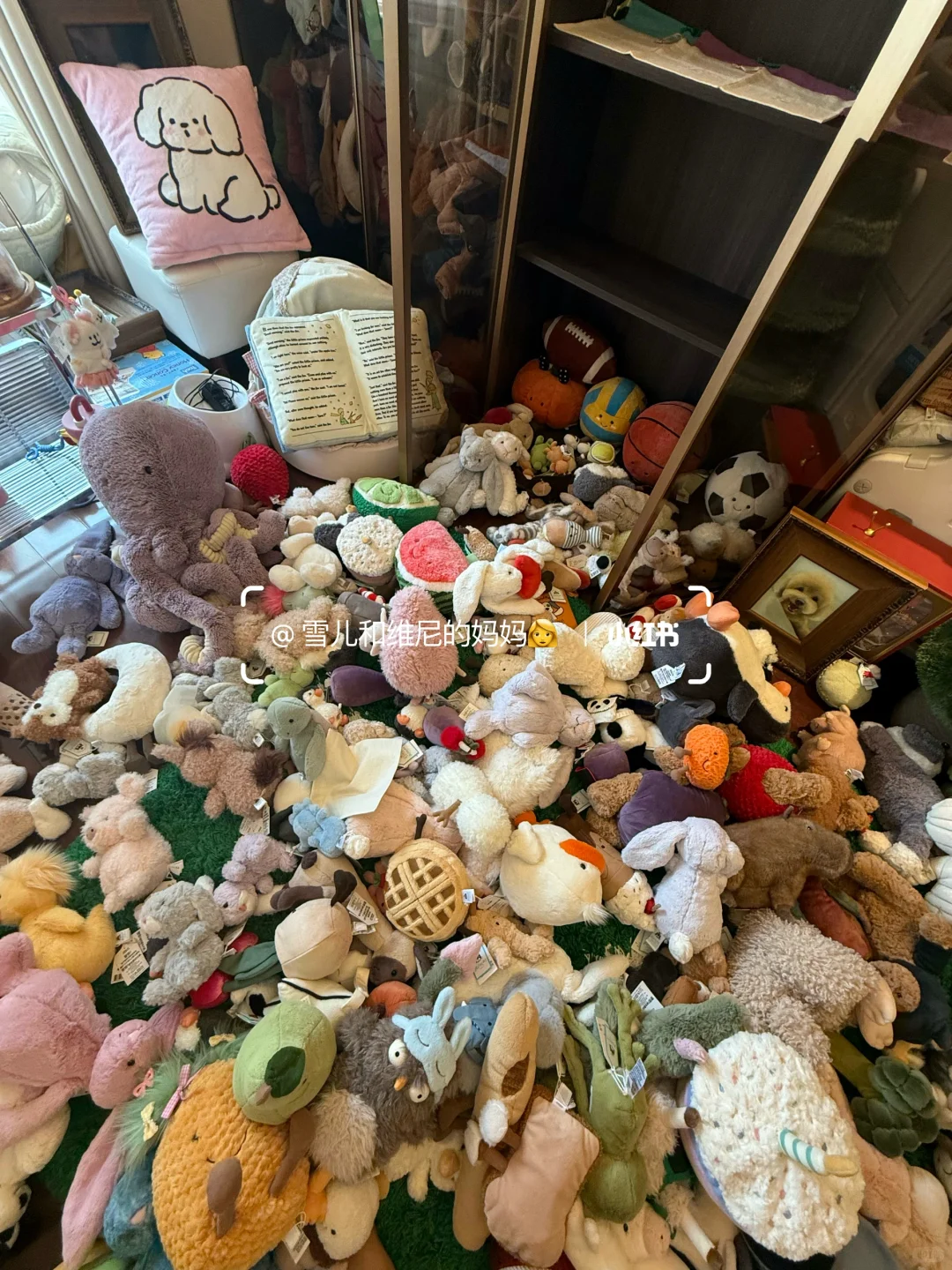 一口气背着家人买了16w的jellycat现状