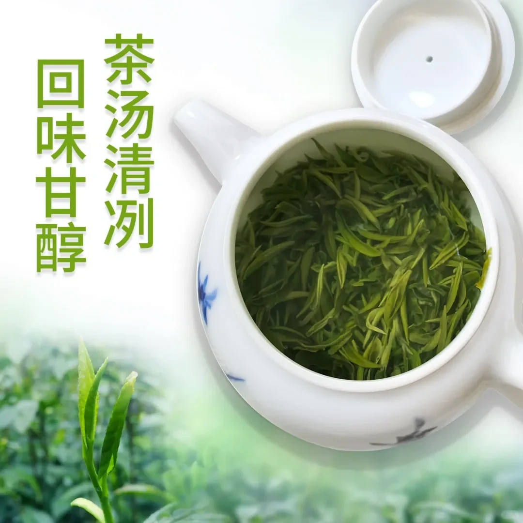 茶叶助农｜一份来自秦岭深处的?礼物