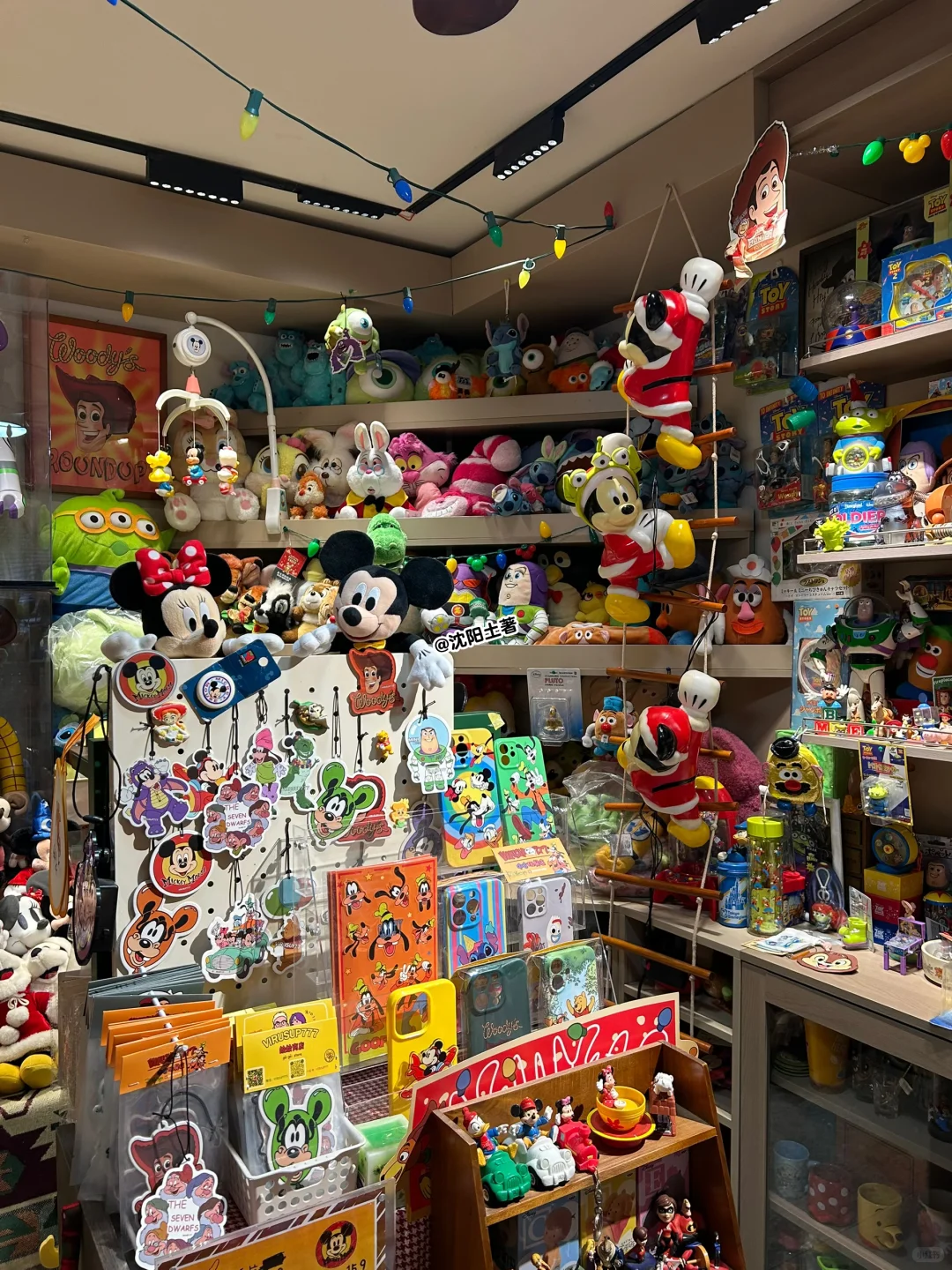 定期拔草之 沈阳这家玩具店全是宝?