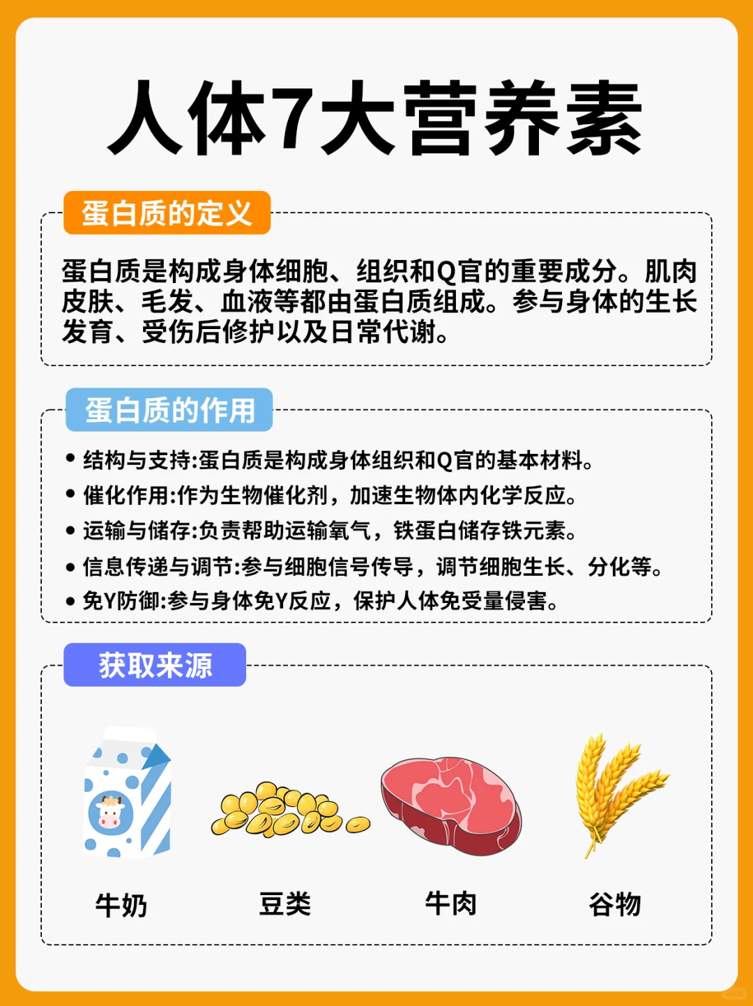 人体7大营养素，你都吃对了吗？