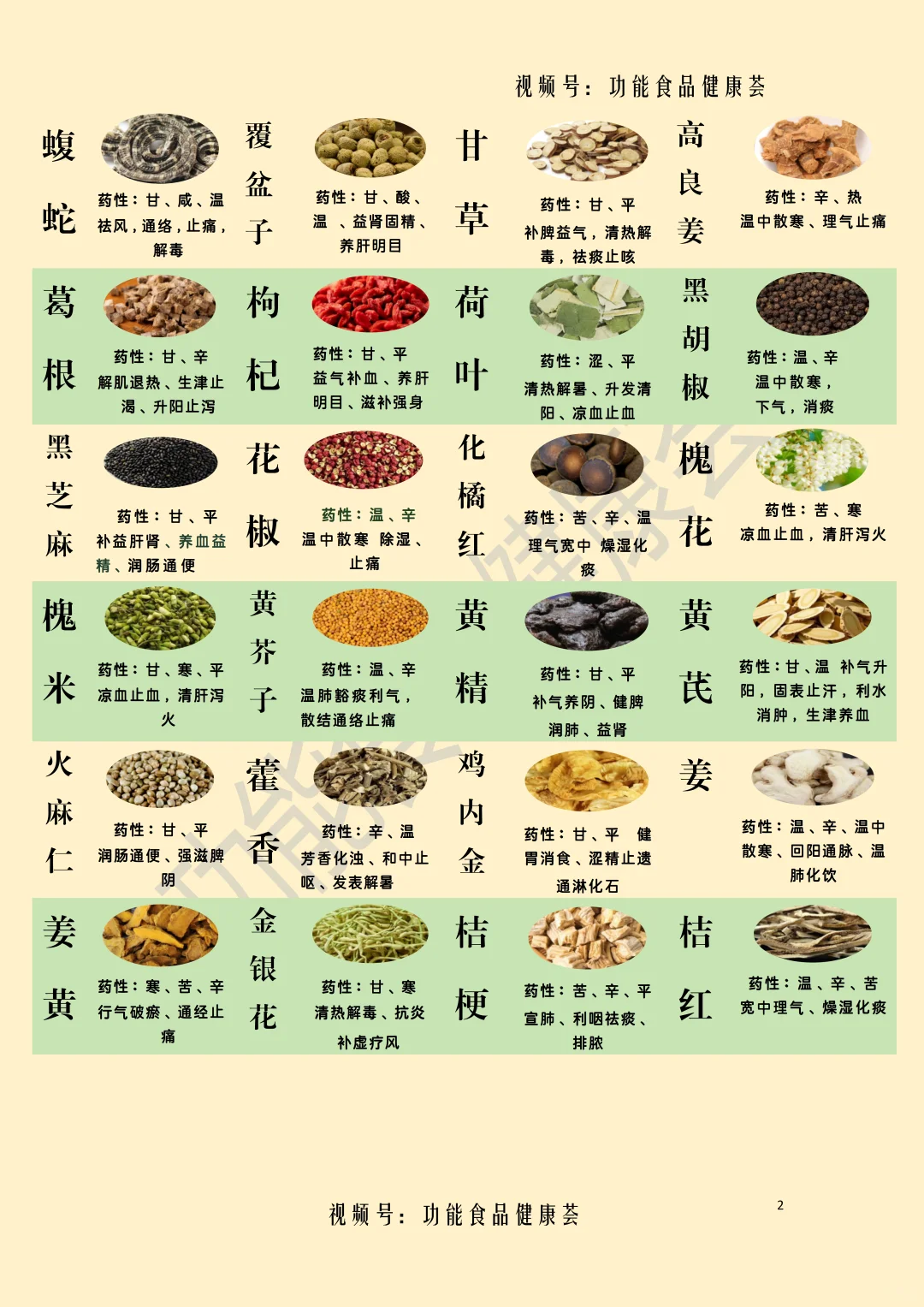 2025最新食药物质目录速览