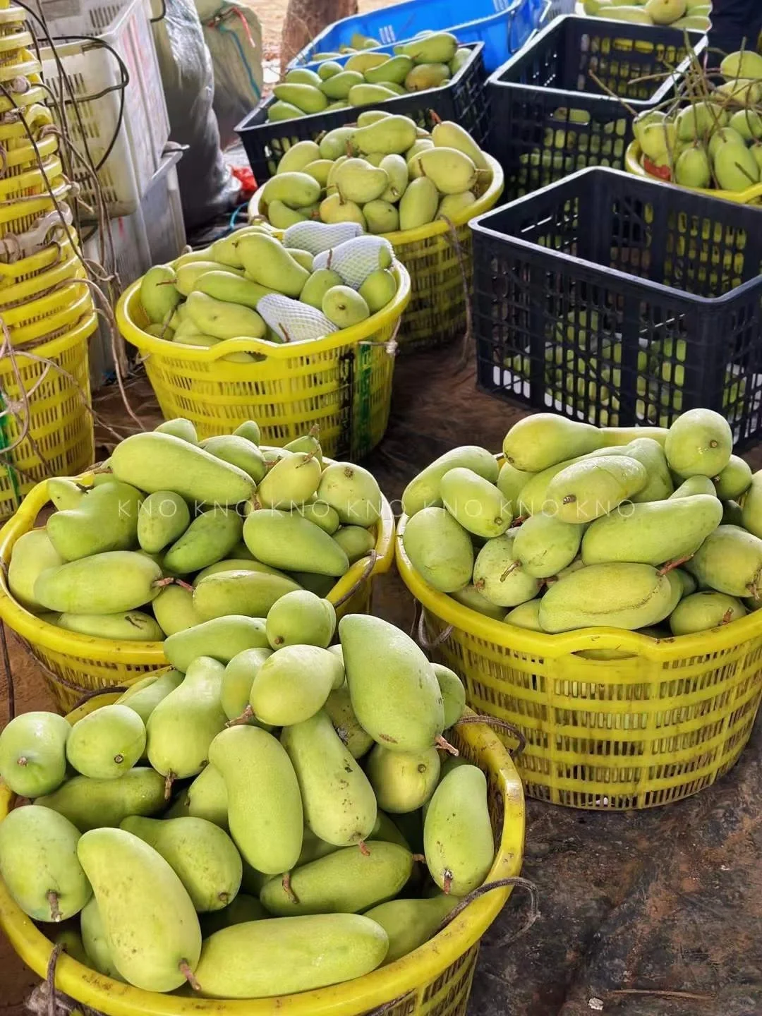 进了这个溯源团购群，真的就出不来了！