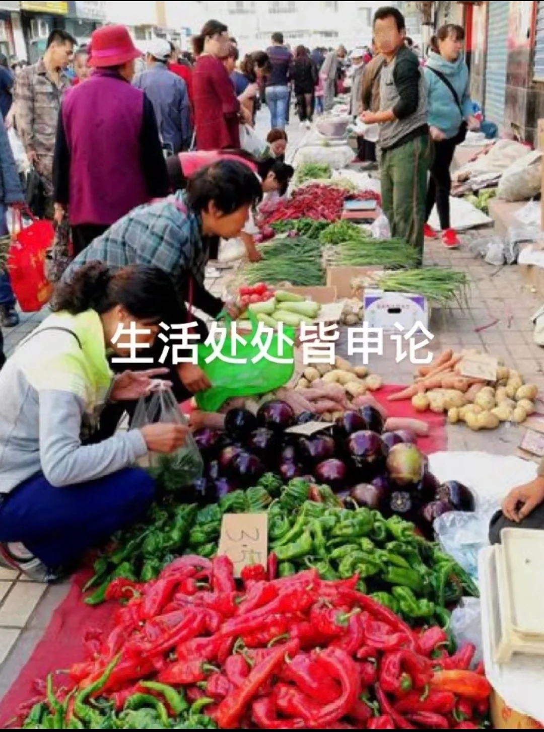 生活处处皆申论！