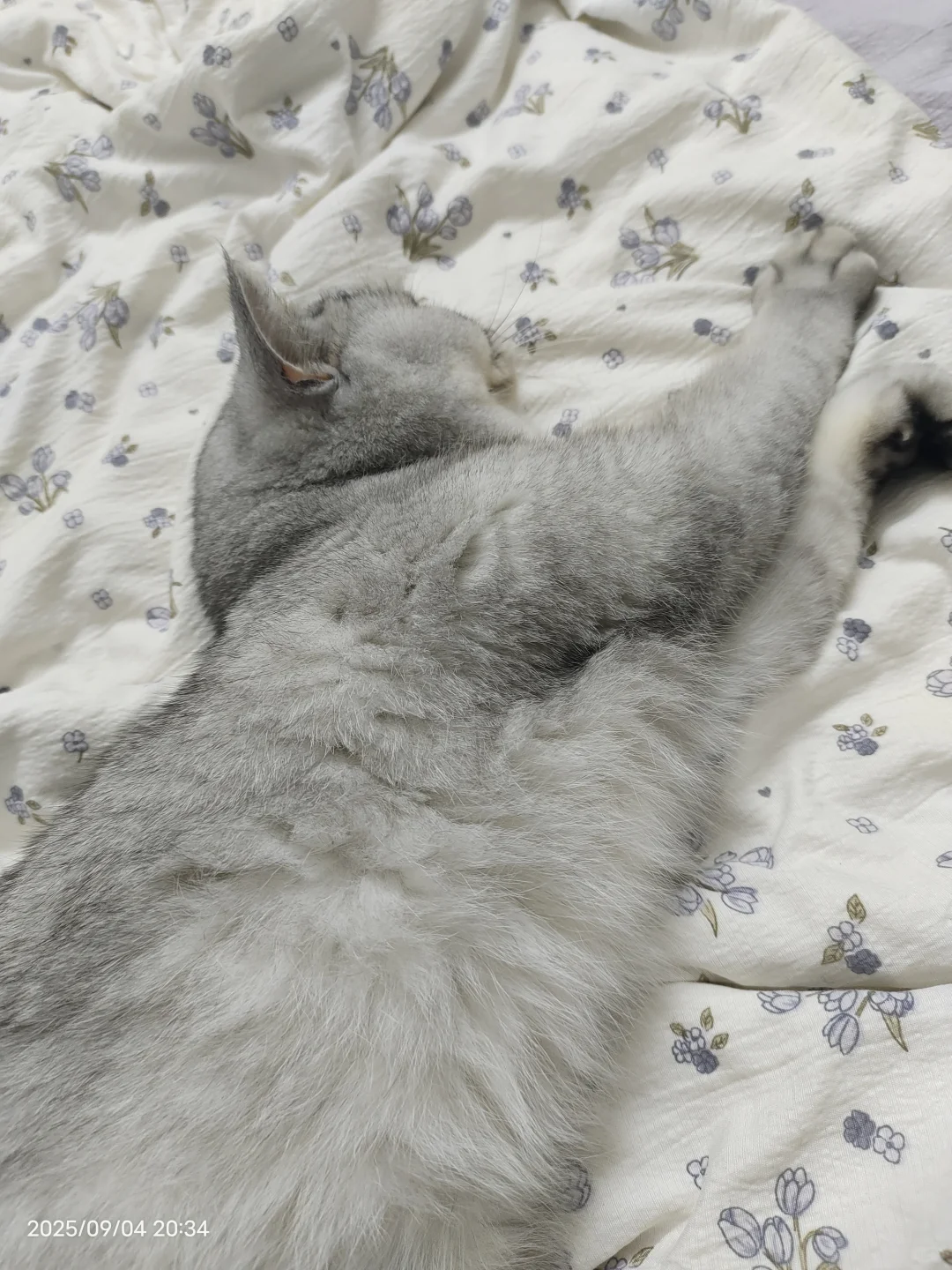 五金采购你就干吧，一干一个不吱声??