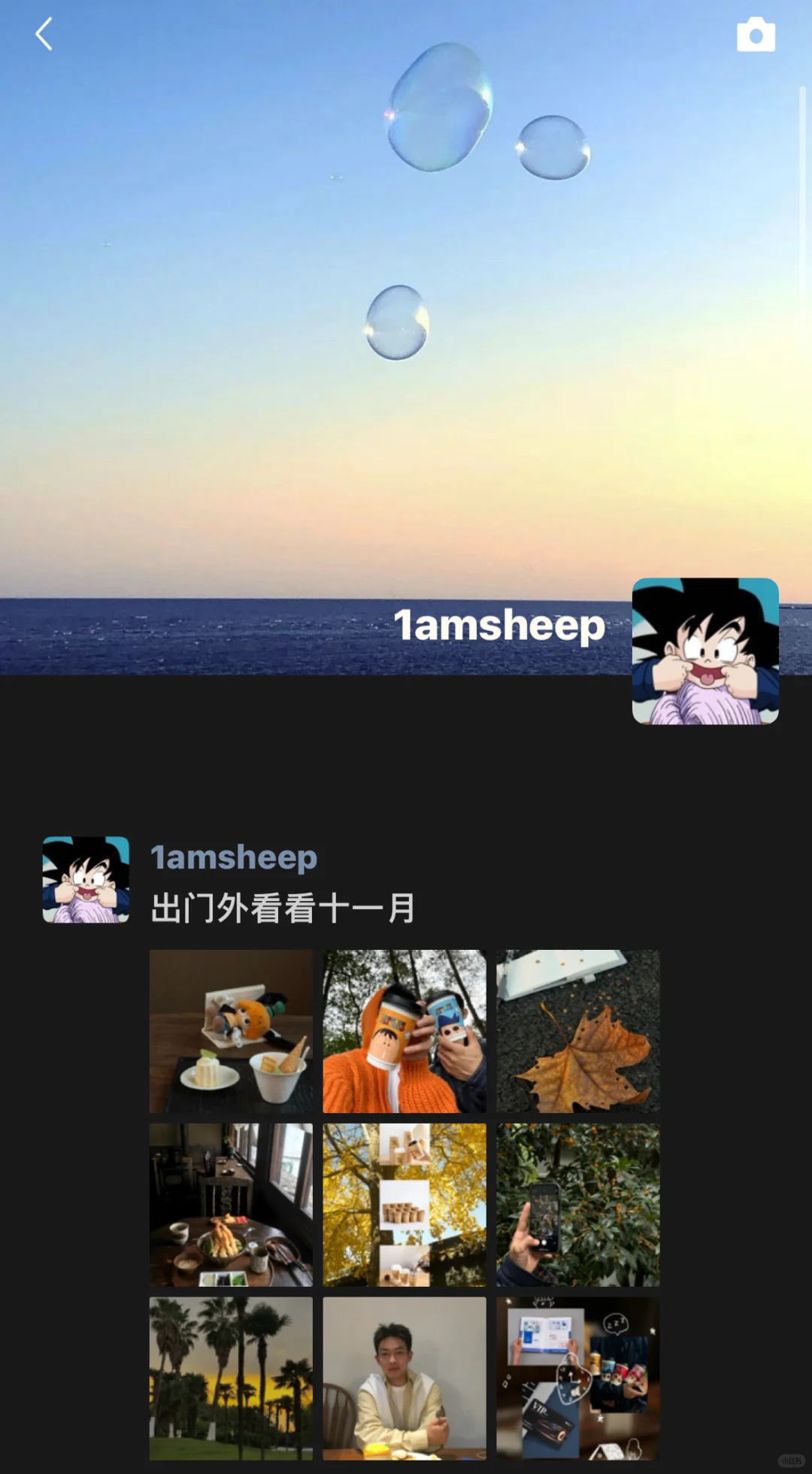 这句歌词也太适合十一月发了吧???