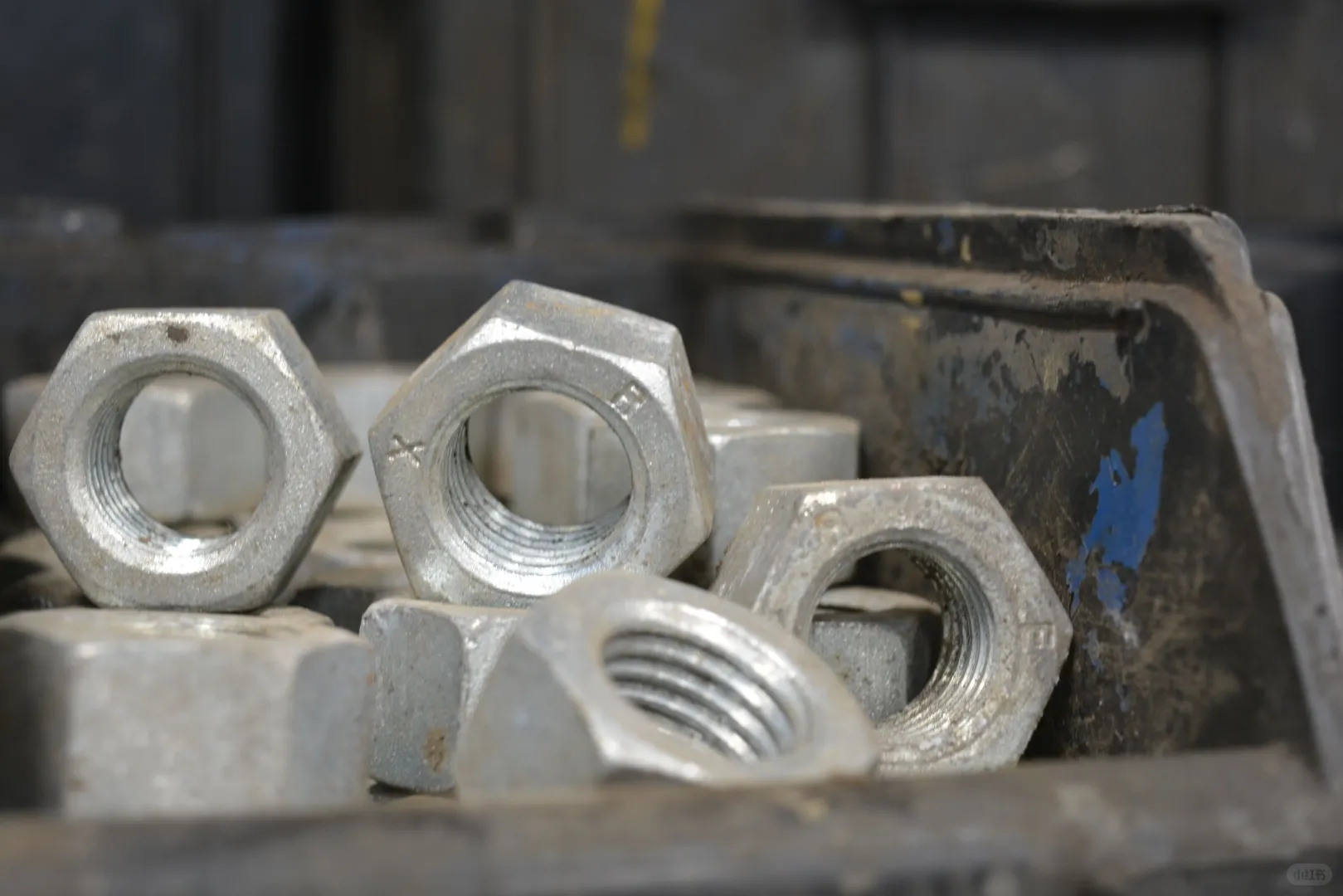 什么是重废？深度探析重废的精彩世界