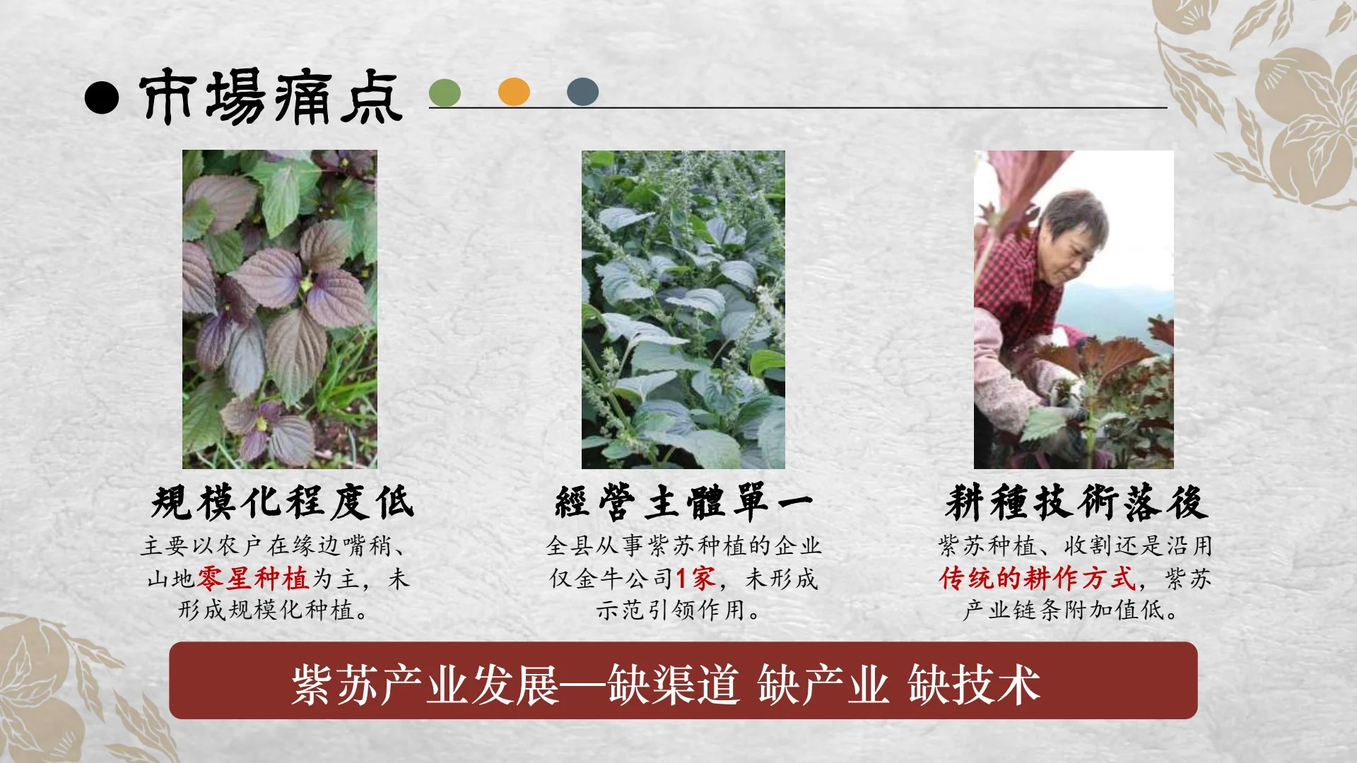 新型紫苏饮产品